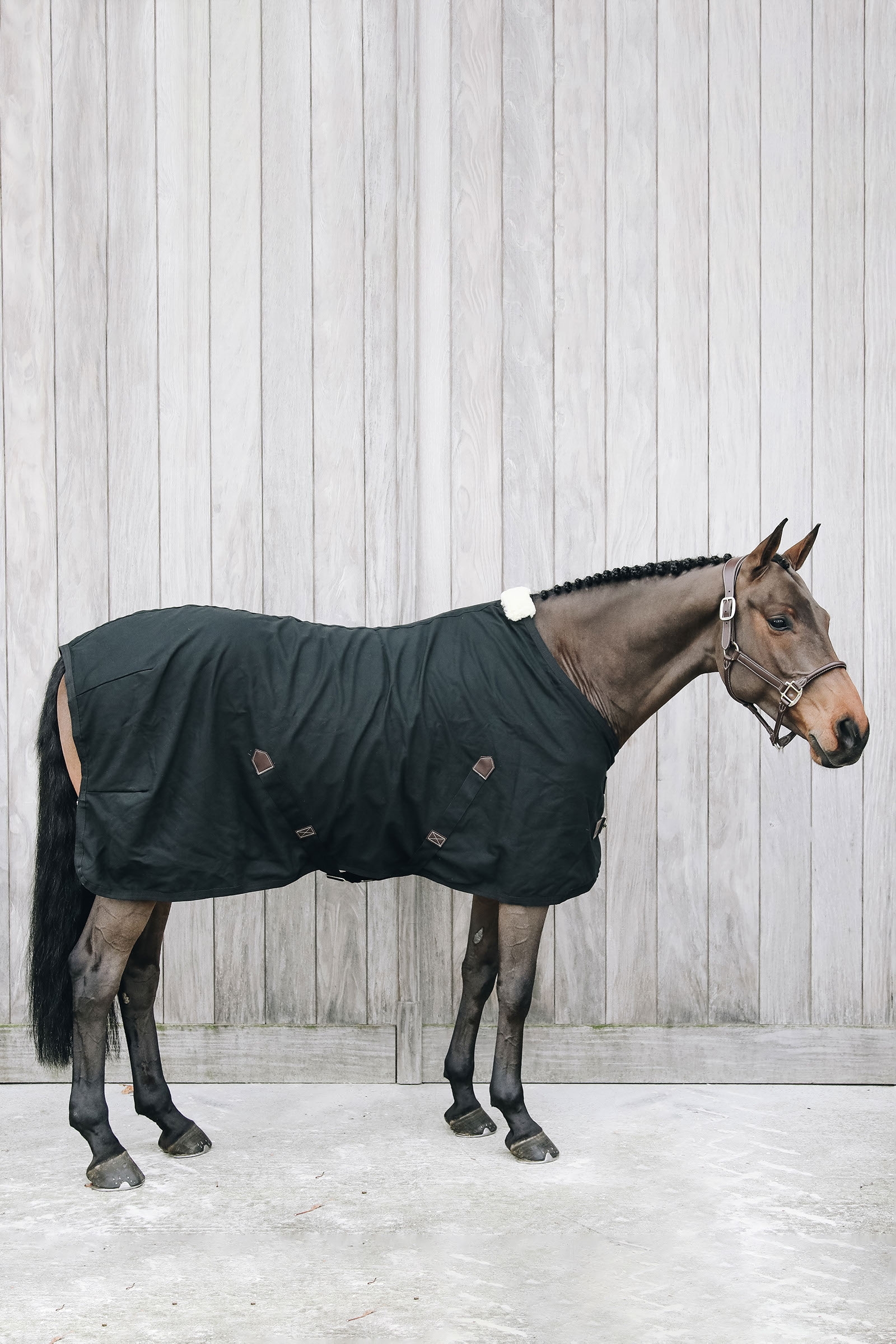 Kentucky Horsewear Cotton sheet