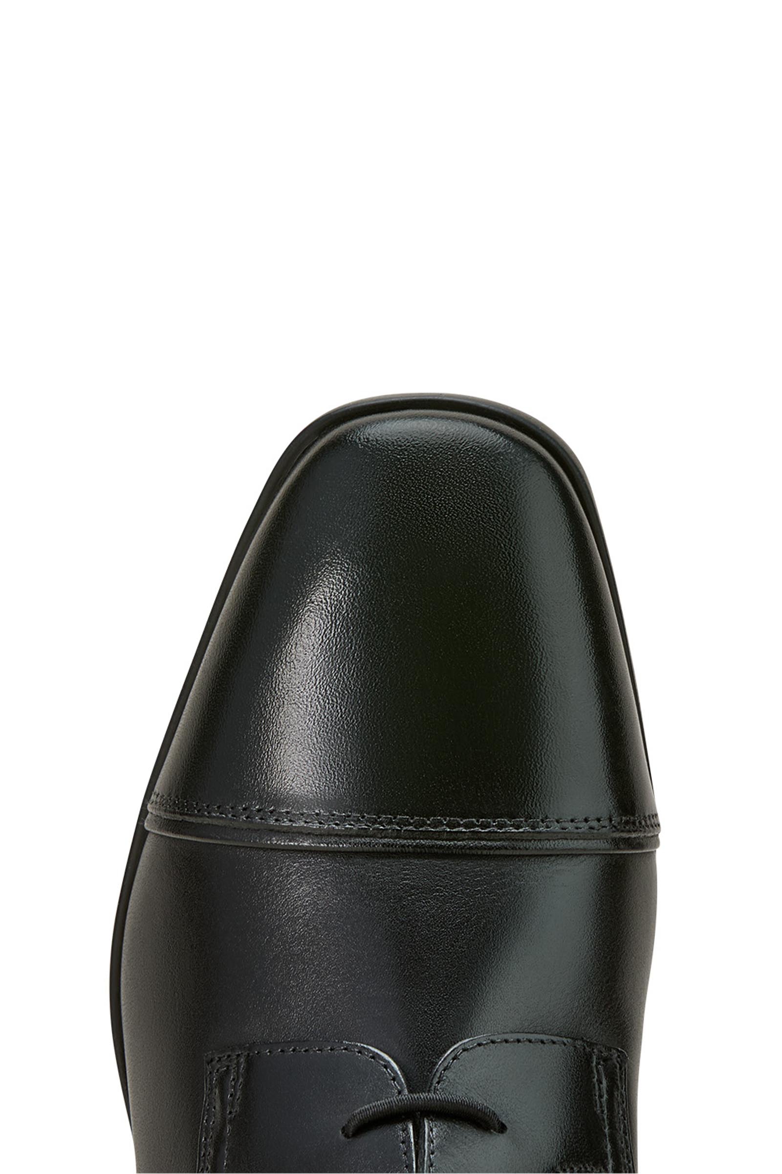 Ariat Palisade Dames field rijlaarzen