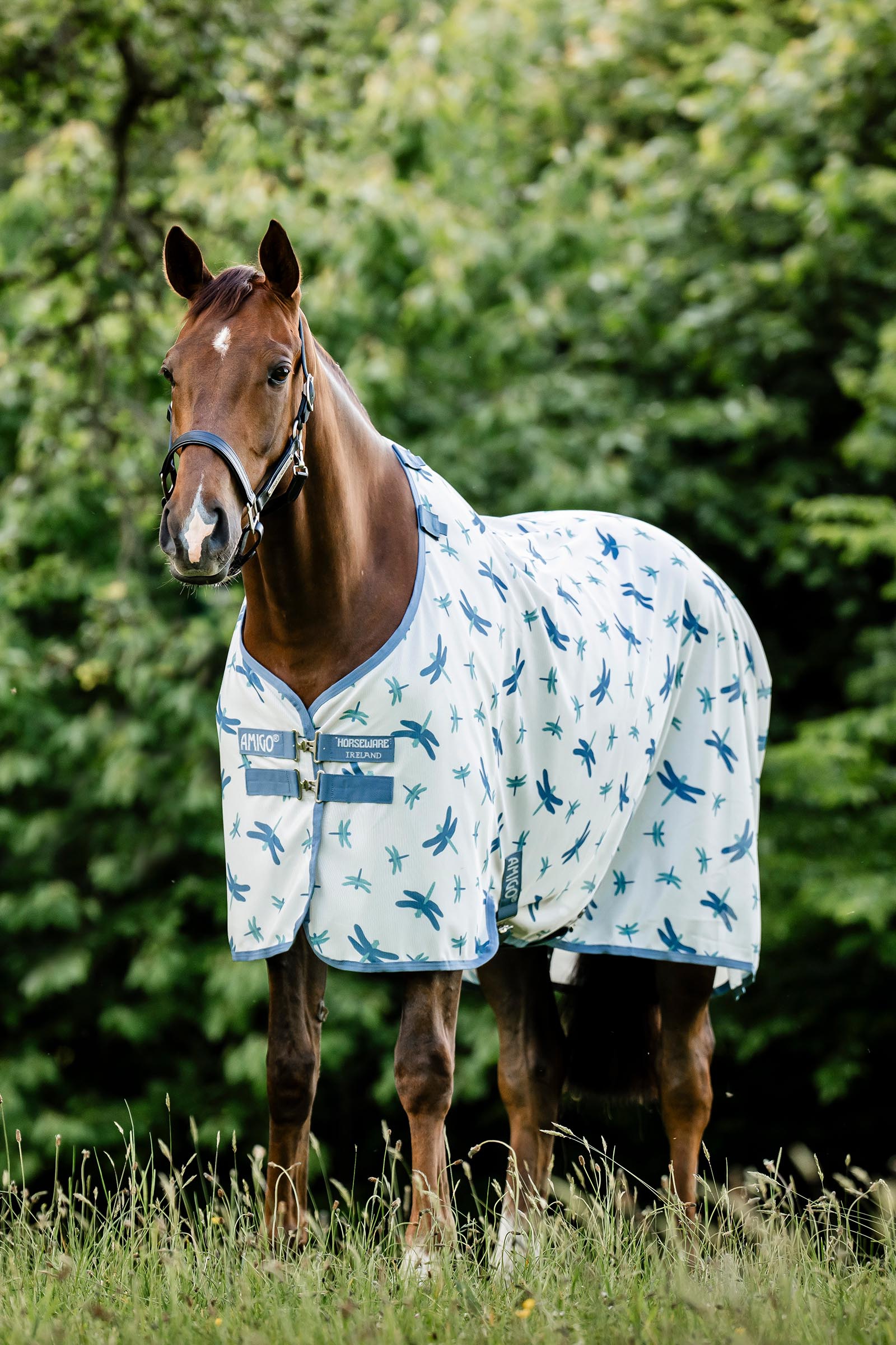 Dragonfly Print/Silver, Blue & Sage Horseware Amigo vliegendeken met UV-bescherming