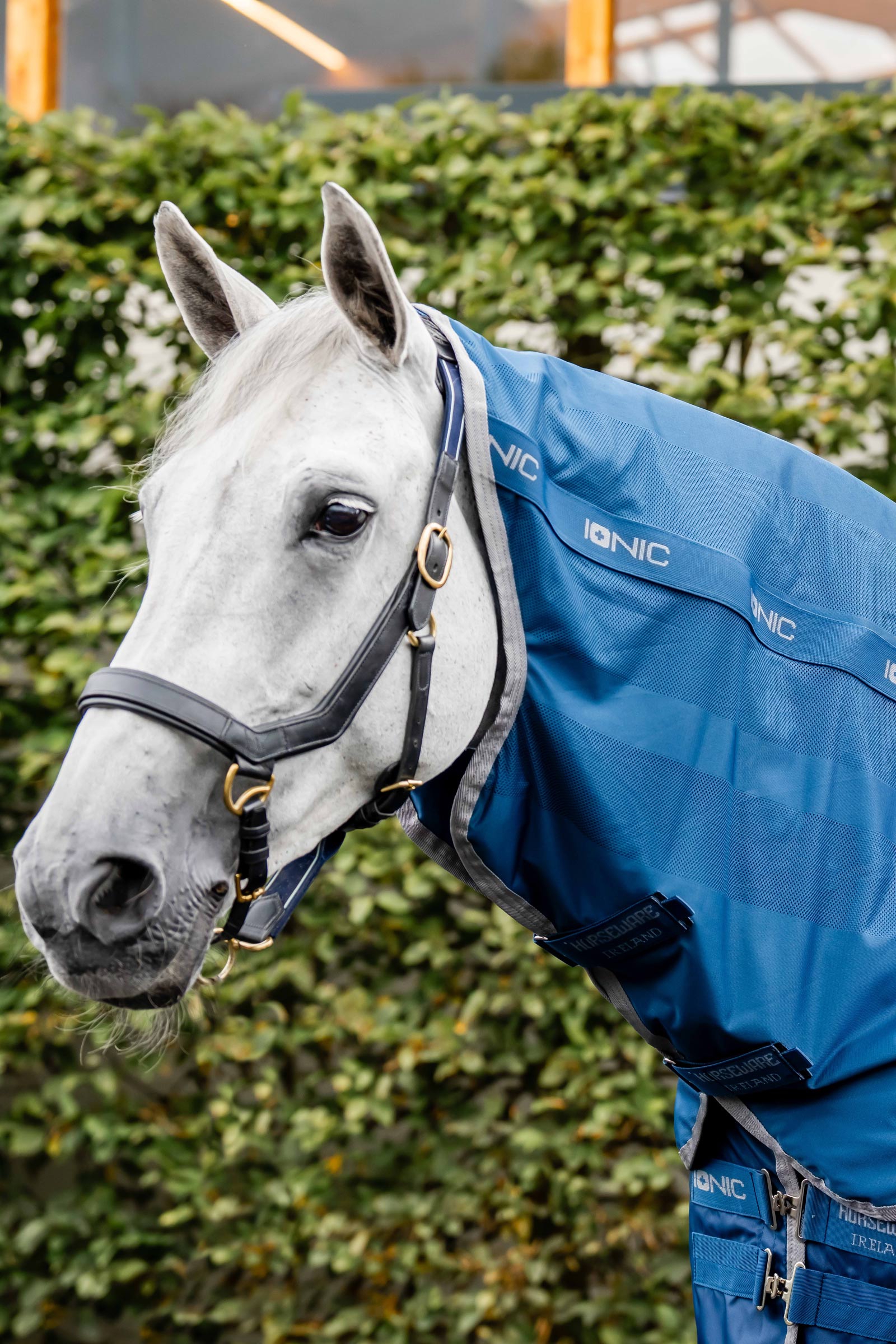 Horseware Ionic Therapy Halsdeel voor Mesh Cooler deken