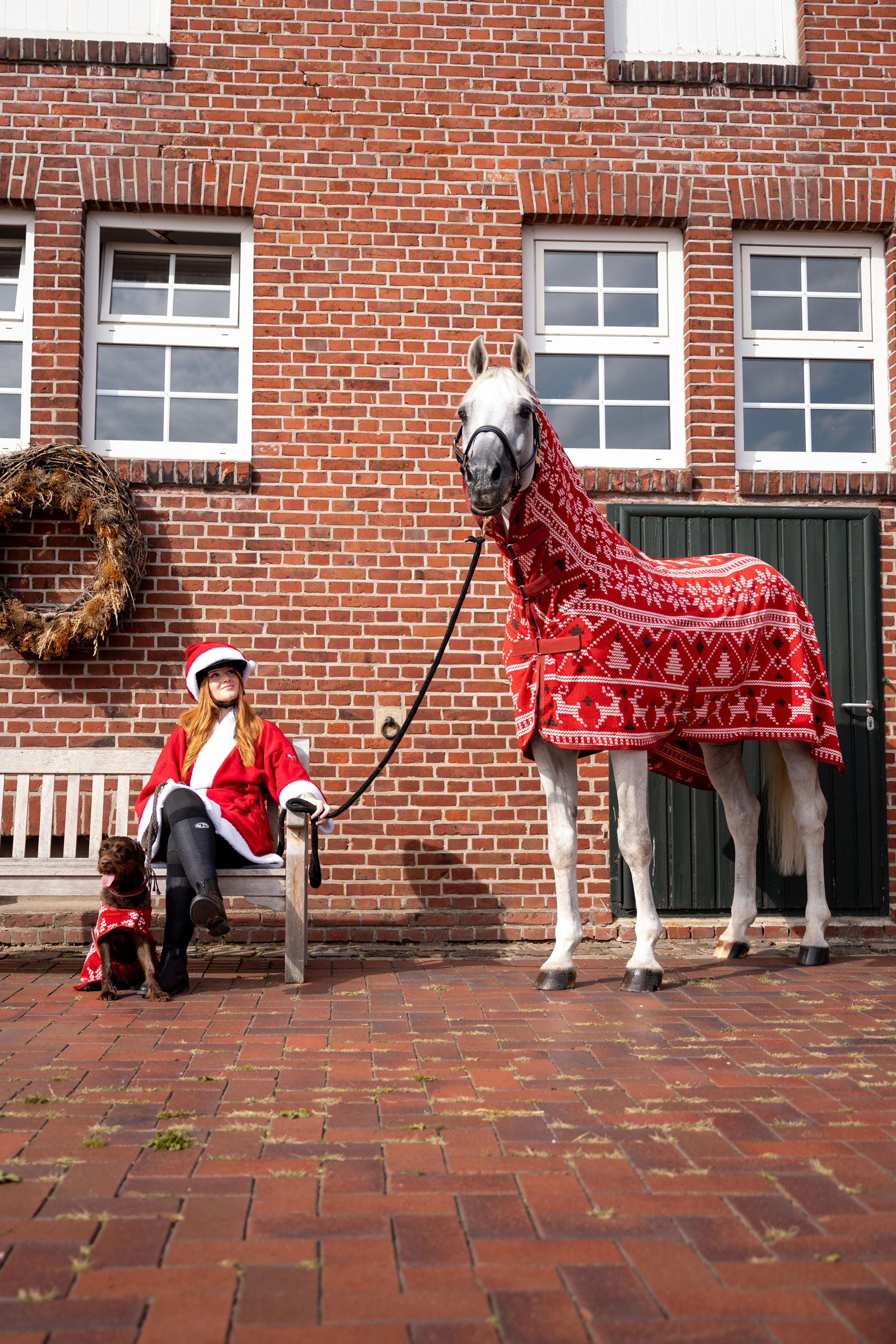 Horze kersttrui voor paarden