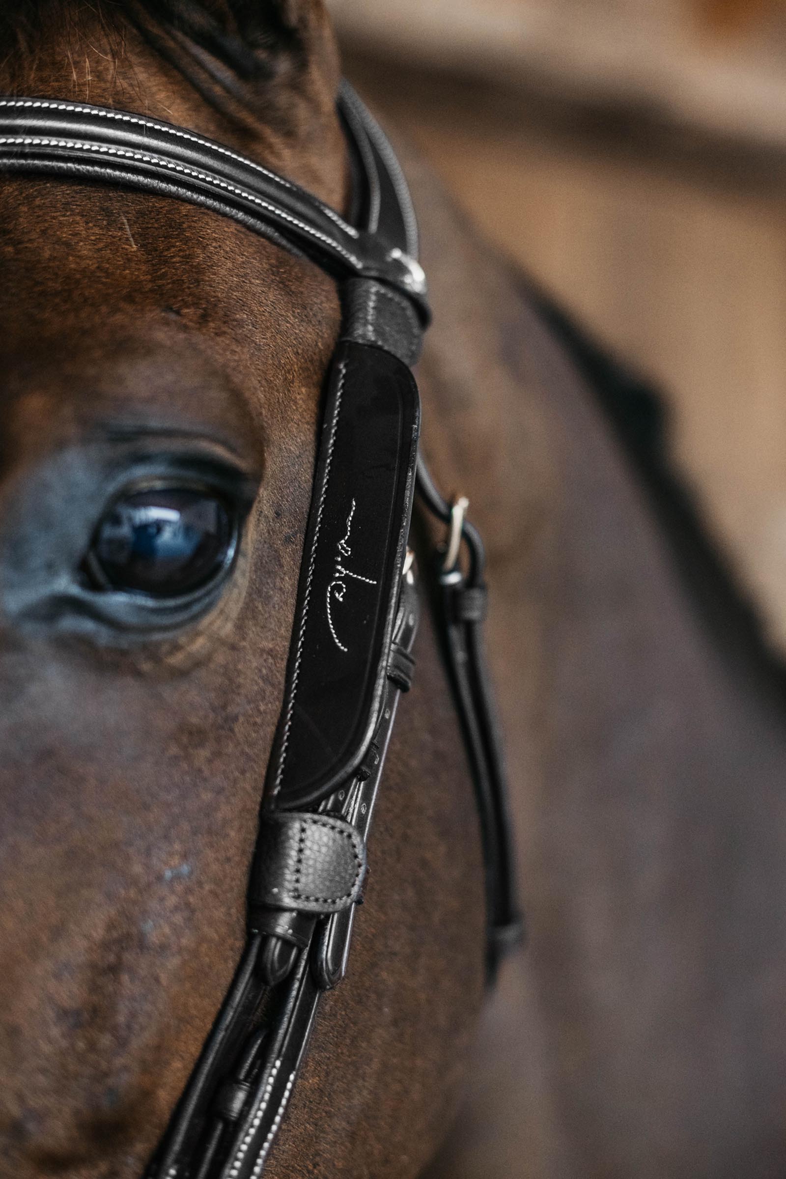 Dy'on oogkleppen met sierstiksels  