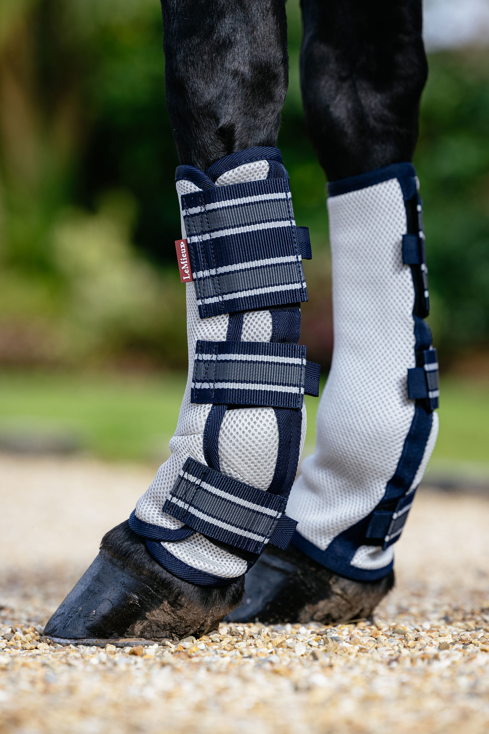 LeMieux Arika mesh vliegenbeschermers set van 4