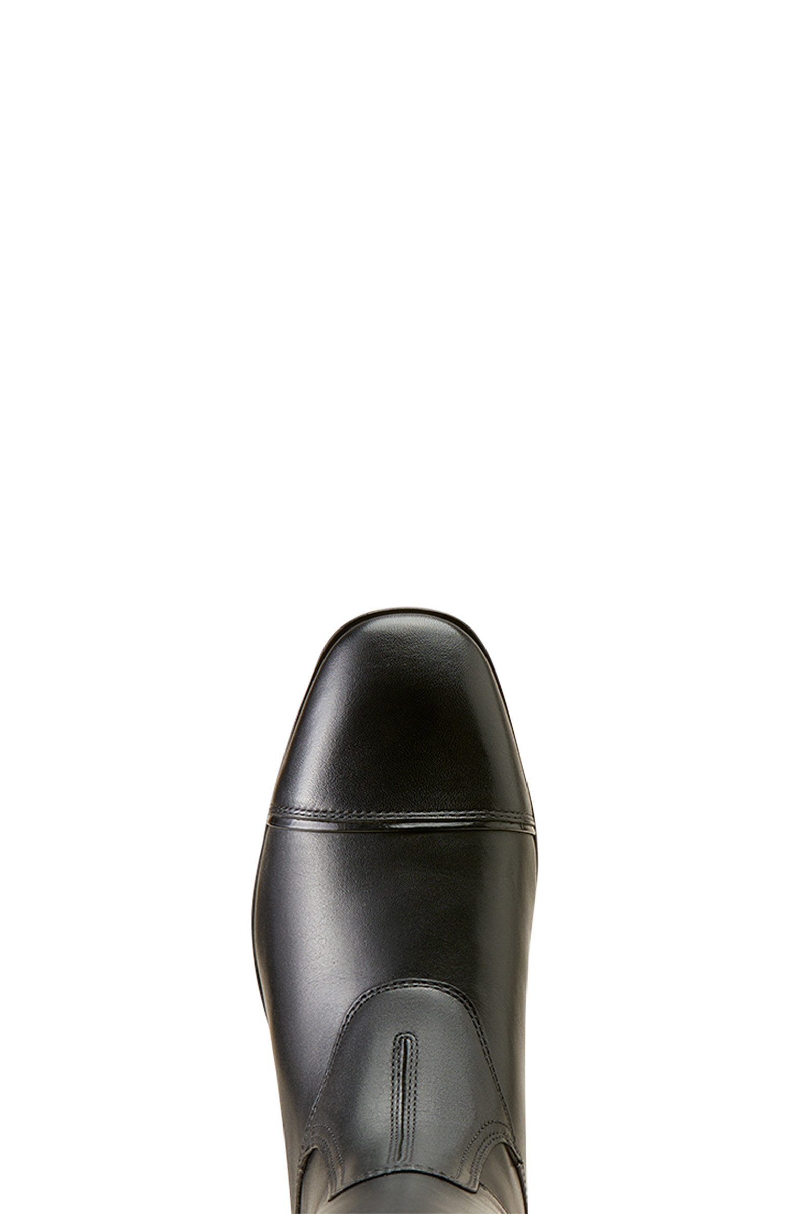 Ariat Dames Palisade Hoge Showrijlaarzen