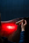 Horseware LED roodlichttherapie Staaf