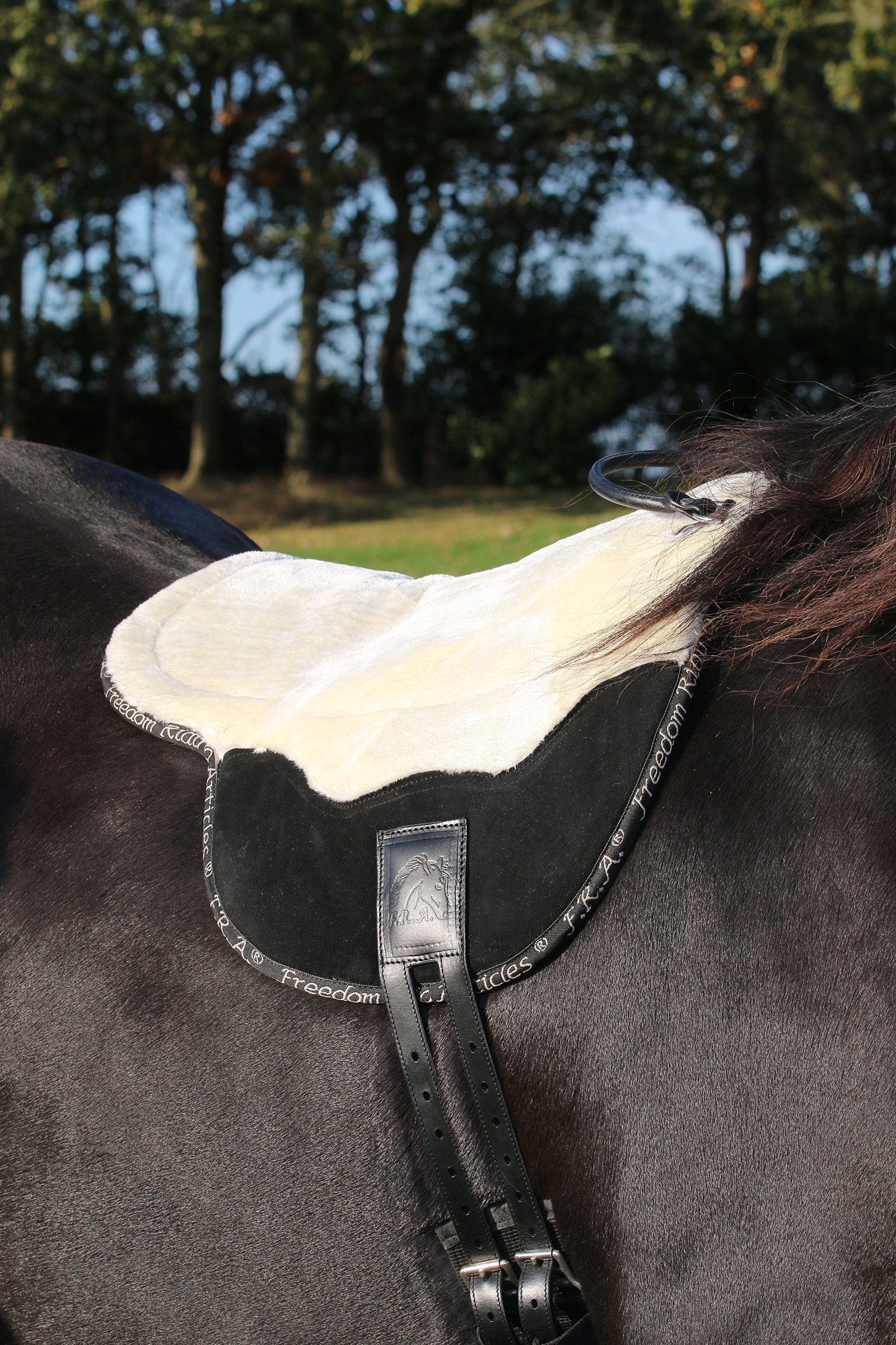F.R.A. Freedom Riding Articles Free Barebackpad, Cob