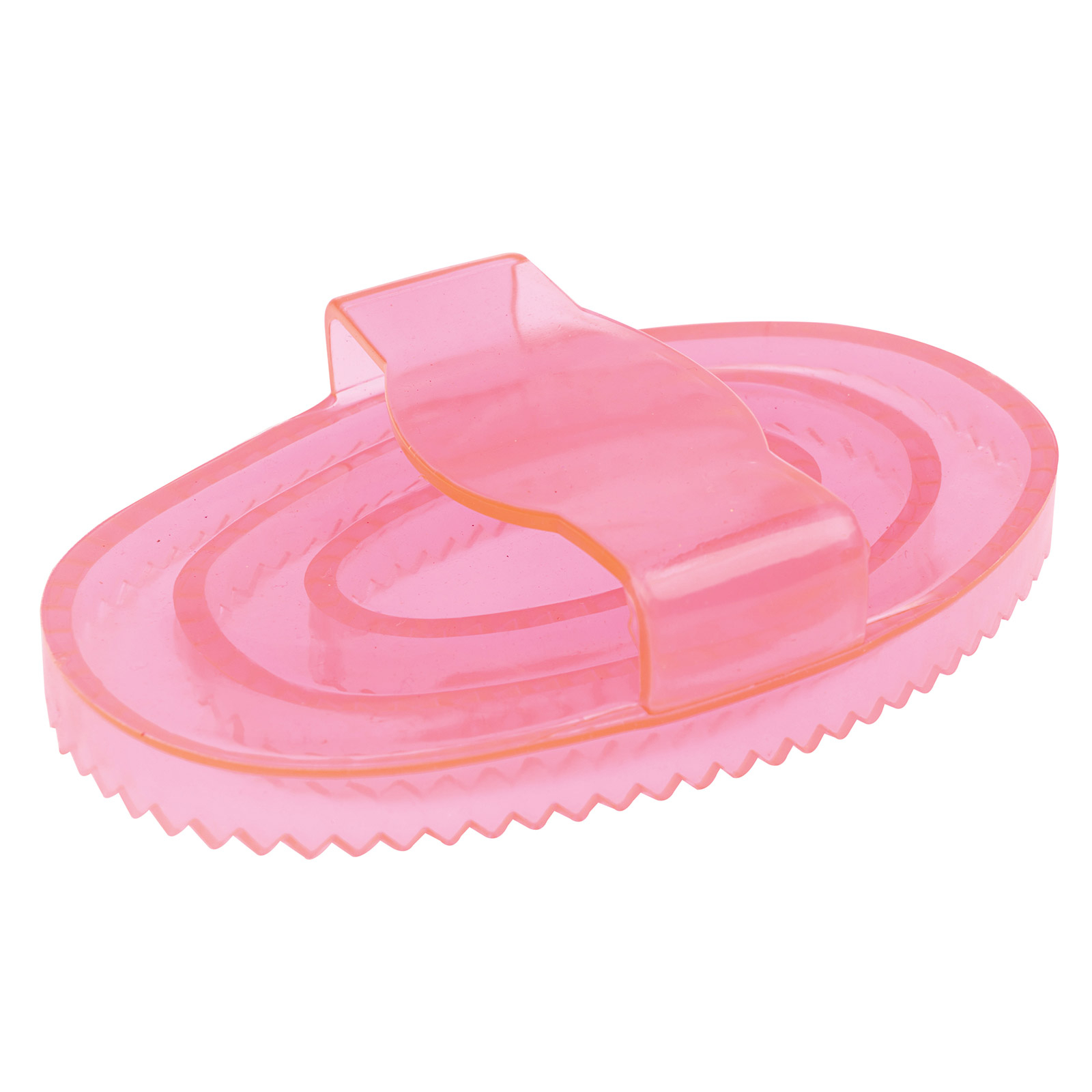 Hot Pink Roma Brights Roskam