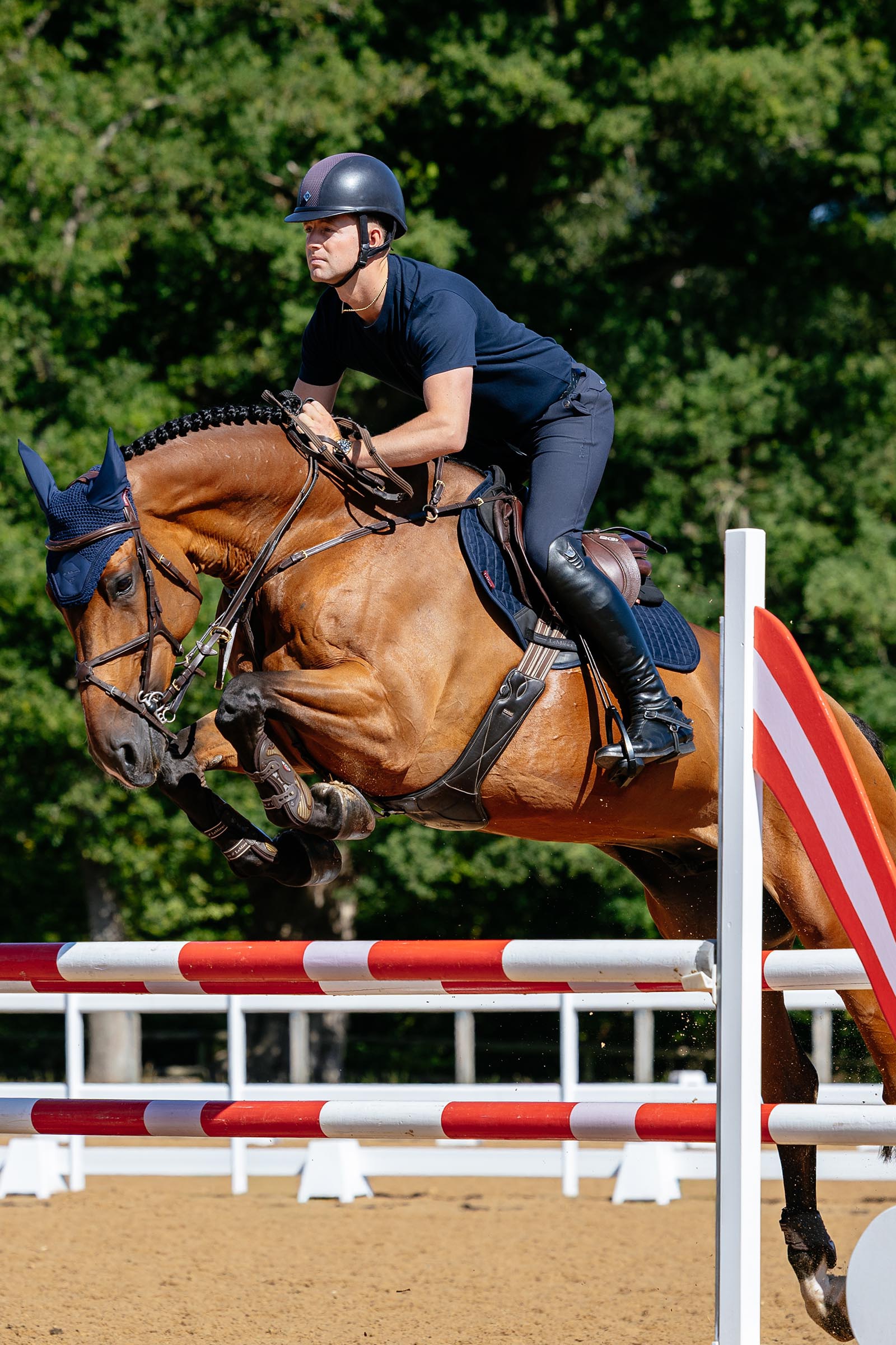 LeMieux Suede Close Contact springschabrak