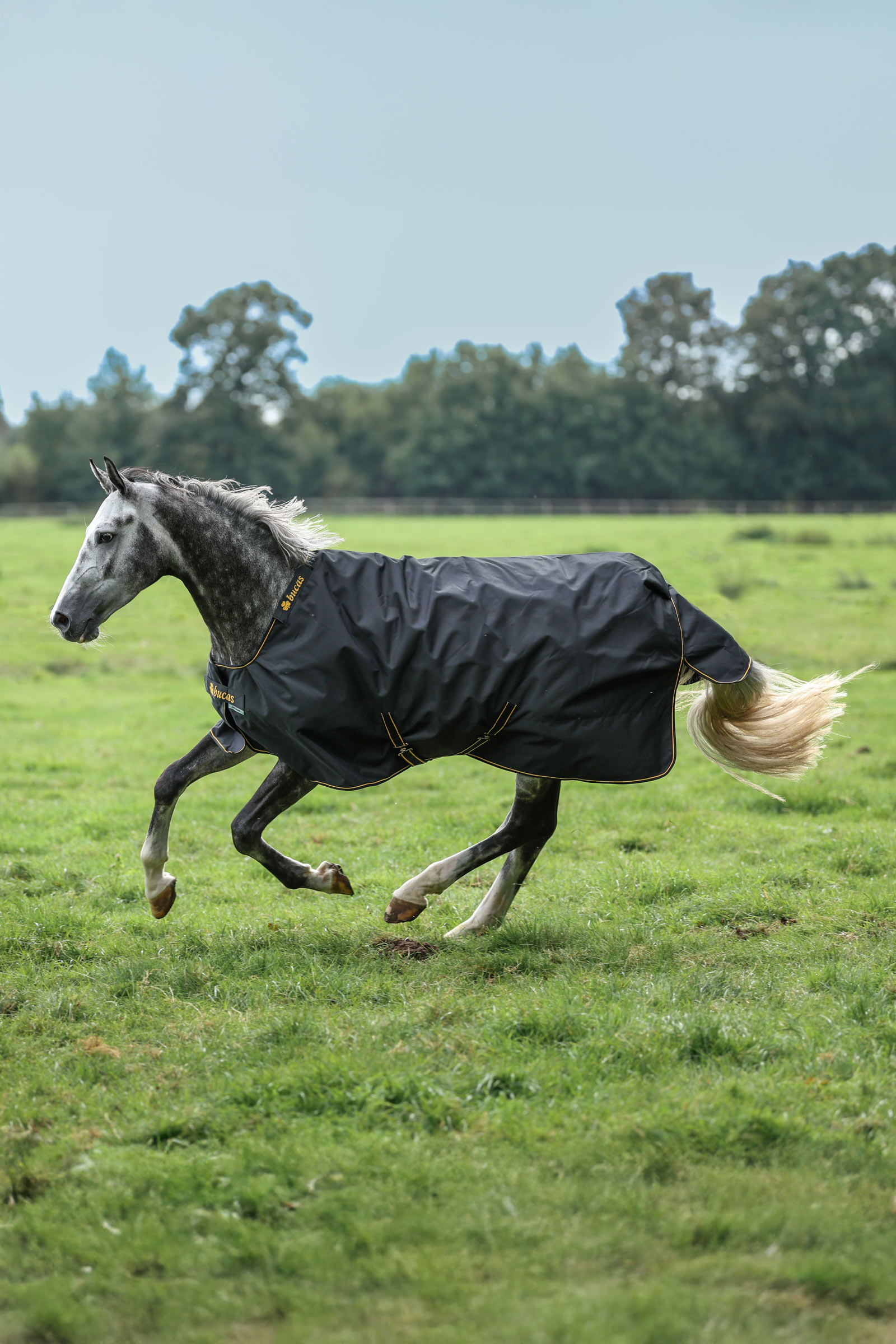 Bucas Irish buitendeken, 100 g