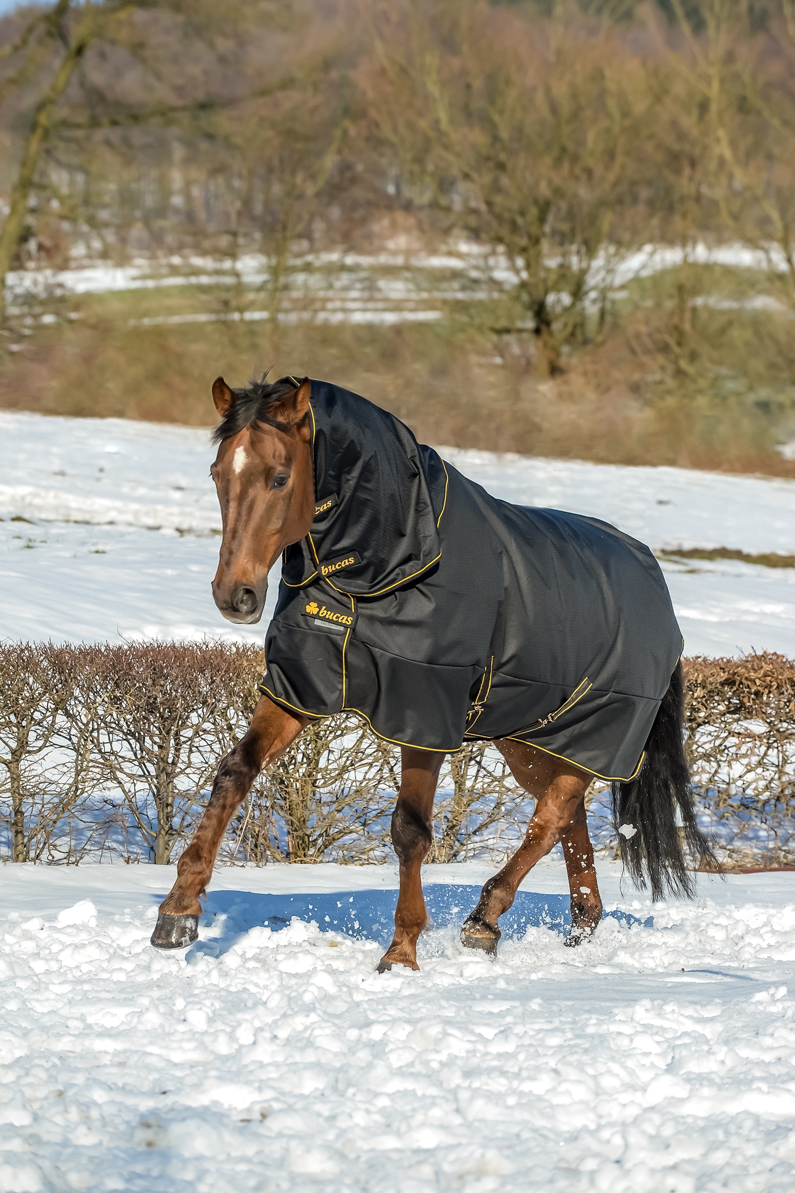Bucas Irish Turnout Extra, pony