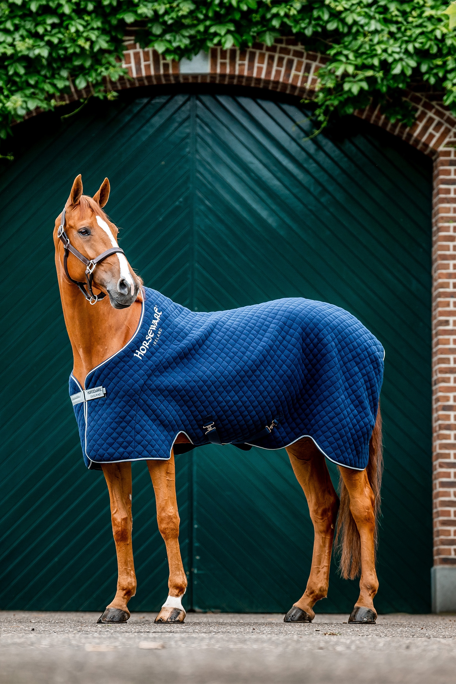 Horseware Autumn cooler