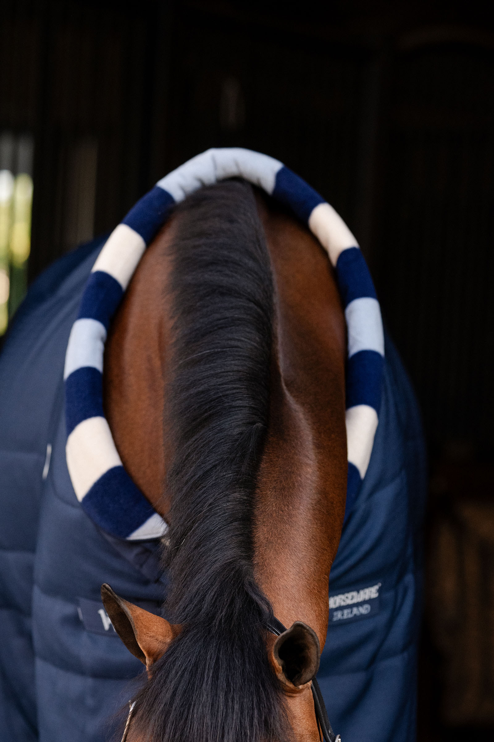 Horseware Newmarket Cosy Staldeken 100g