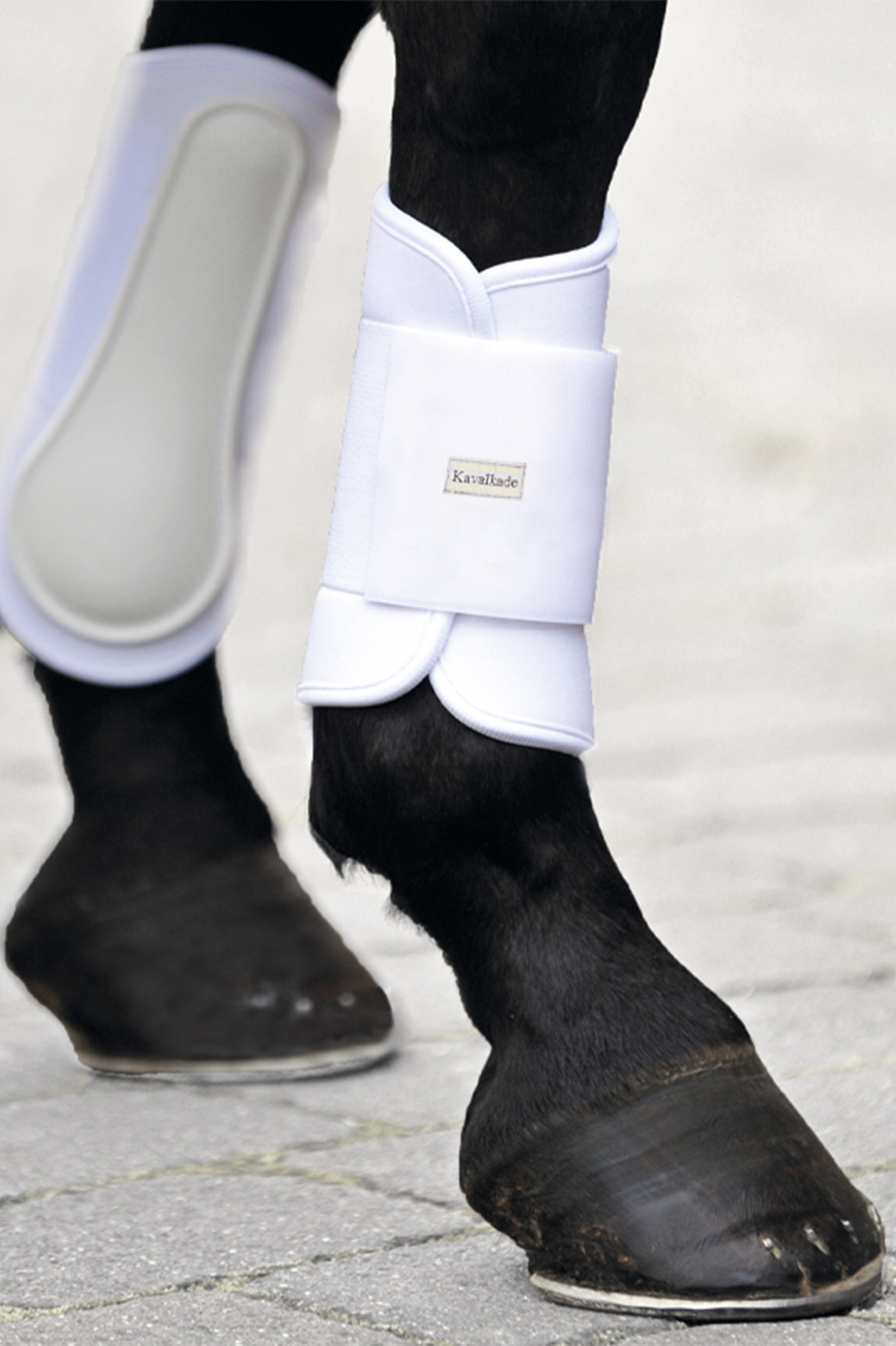 WH/AB Kavalkade Neopreen Strijklappen Softy, voor