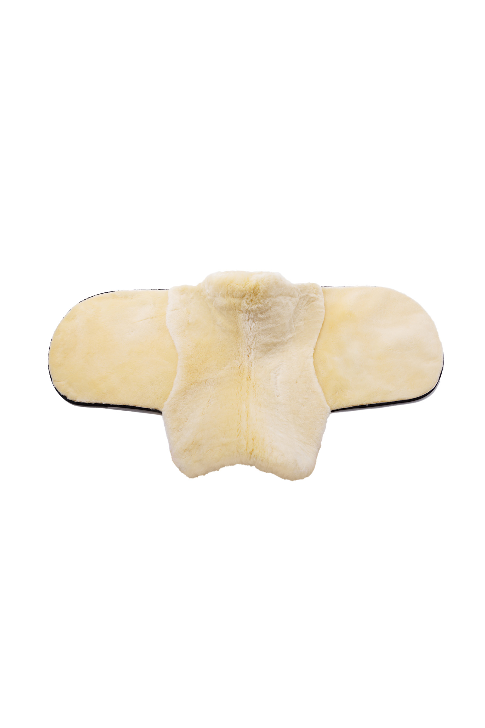 Christ Sjabrak Speciaal, dressuur