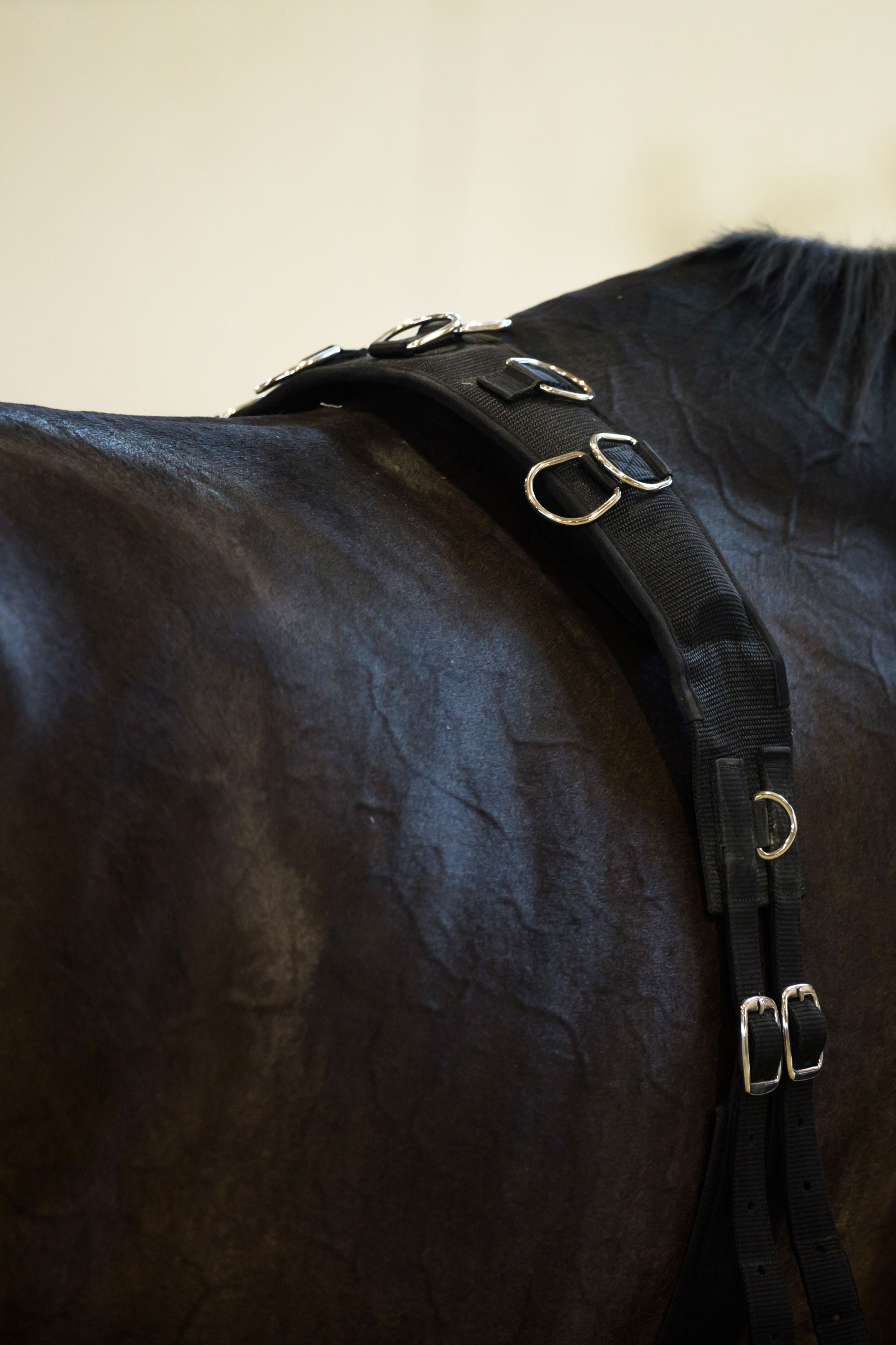 Horze Longeersingel, nylon