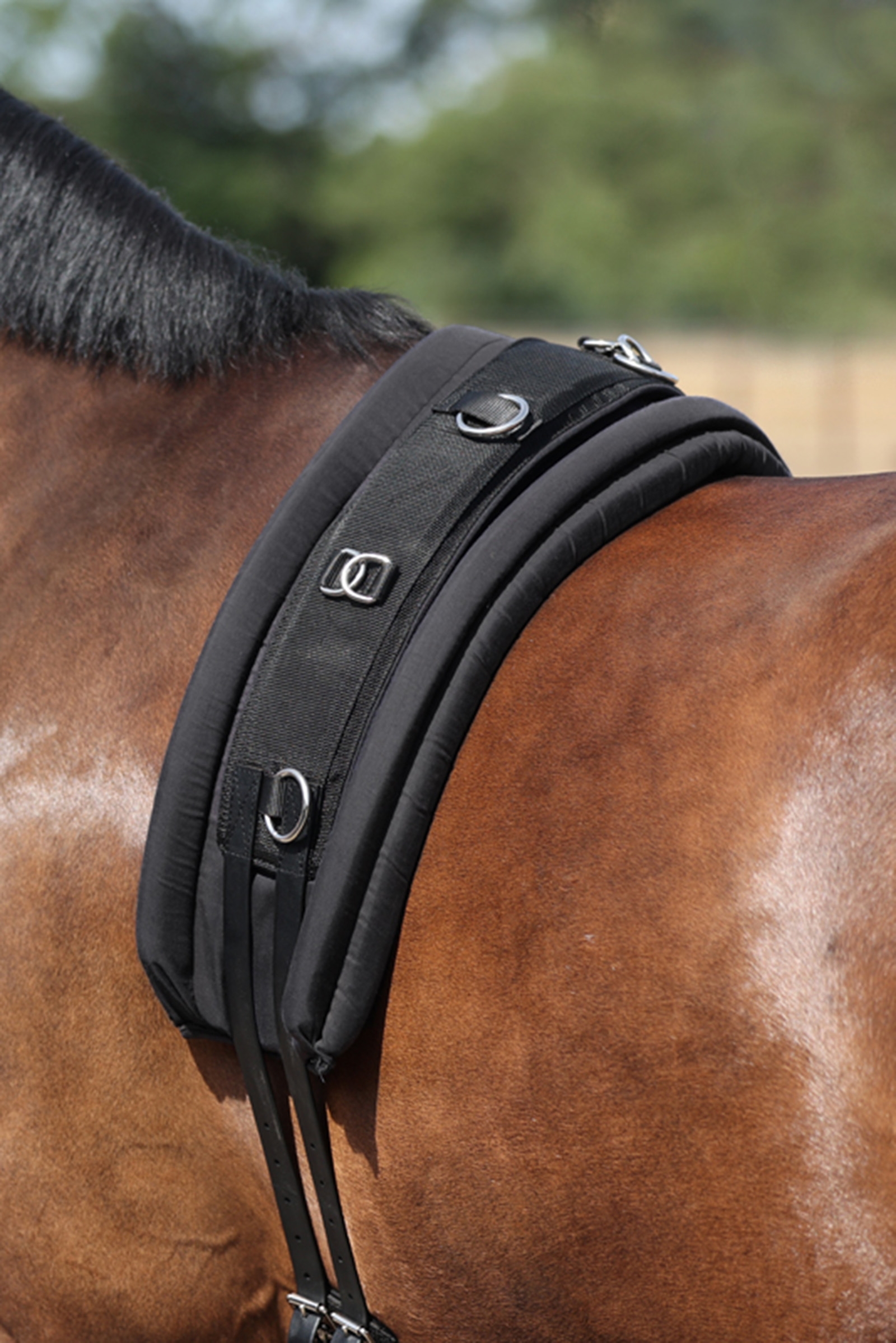 Kavalkade Lunging Girth Pad