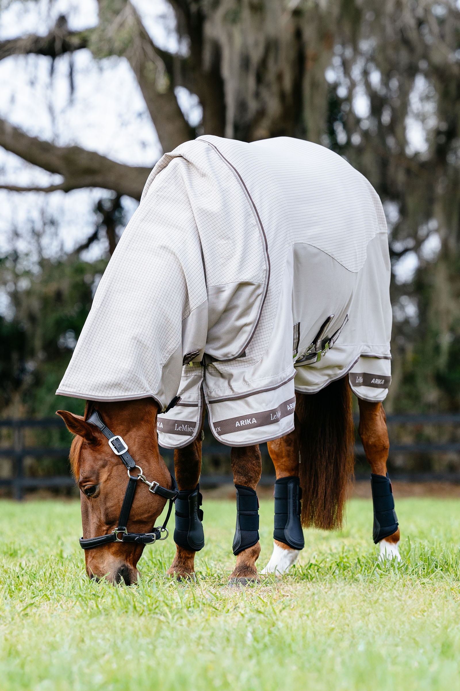 LeMieux Arika 450D Sunstopper outdoordeken met afneembaar halsstuk, 0 g