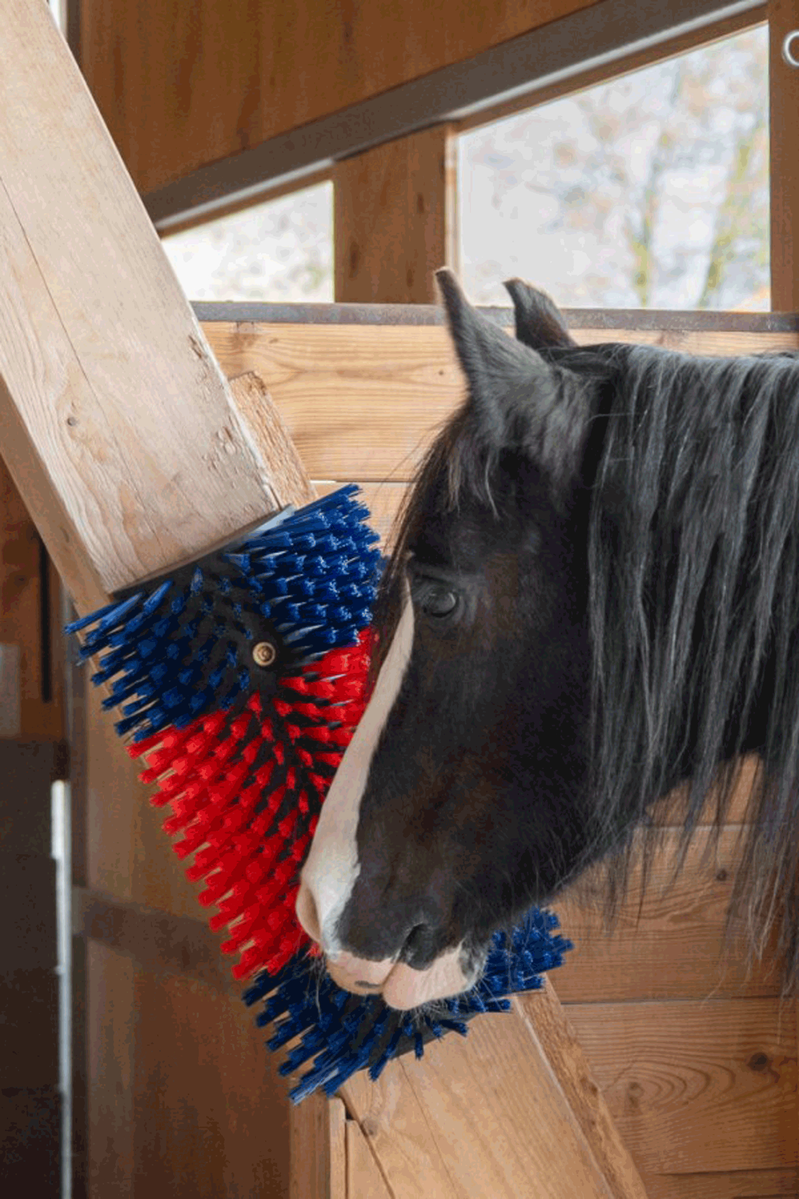 Kerbl XL krabborstel, rond