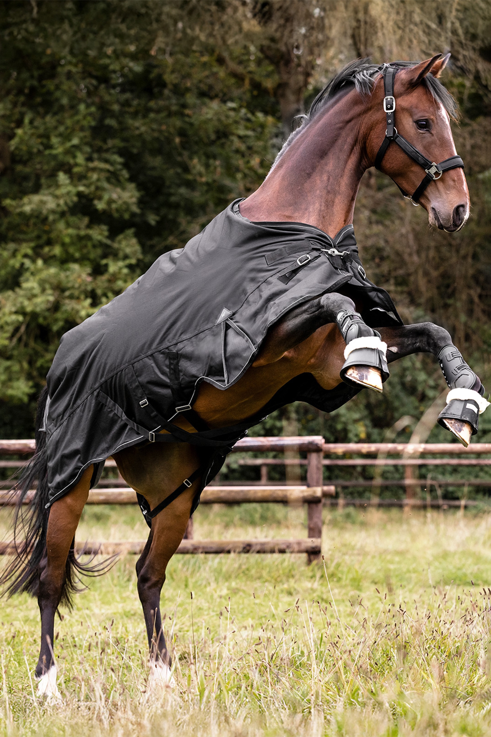 Waldhausen Outdoor Rug Scandic Multi-Layer 250 g/100 g