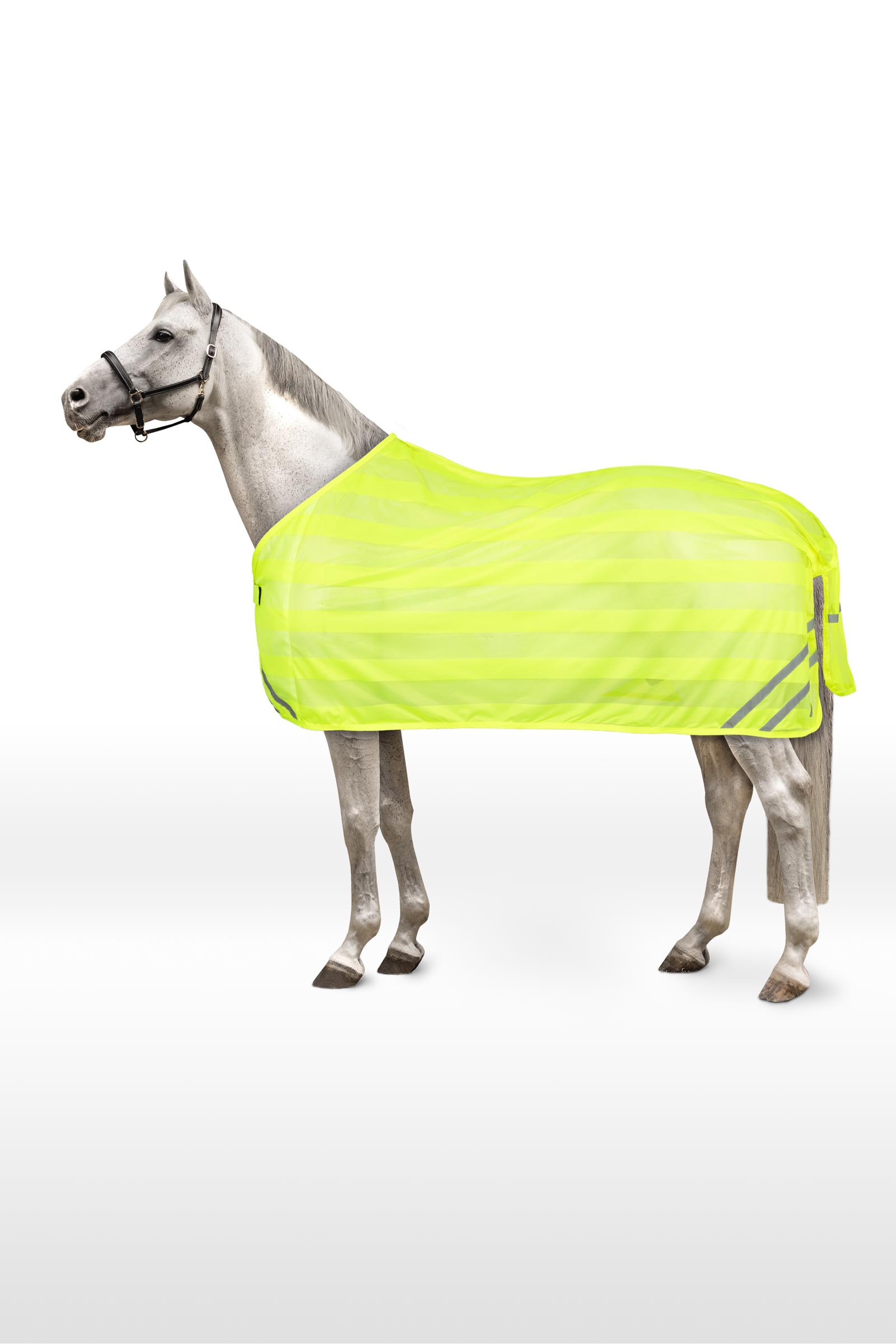Horze Reflecterende Gaasdeken