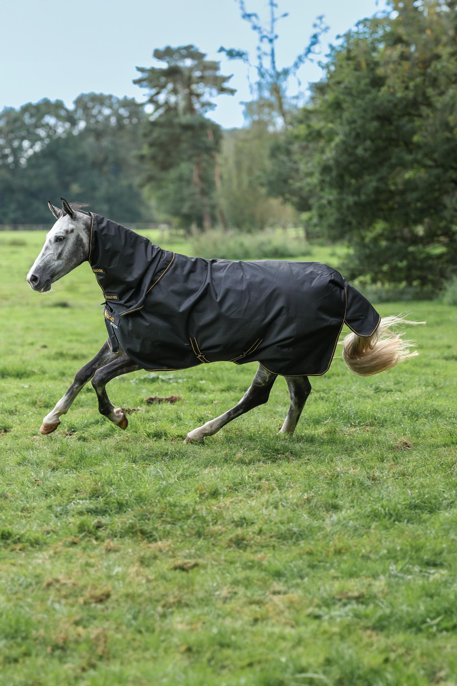 Bucas Irish Turnout halsdeel, 0g