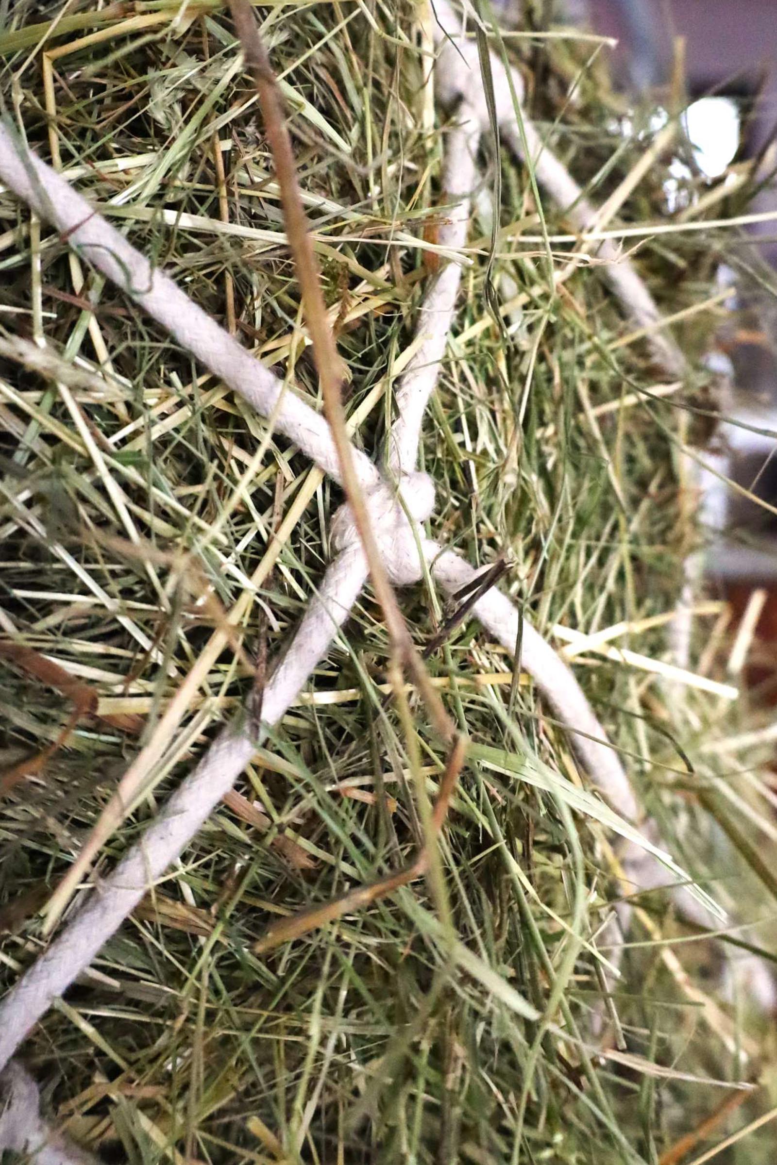 USG katoenen hooinet, maaswijdte 10 x 10 cm