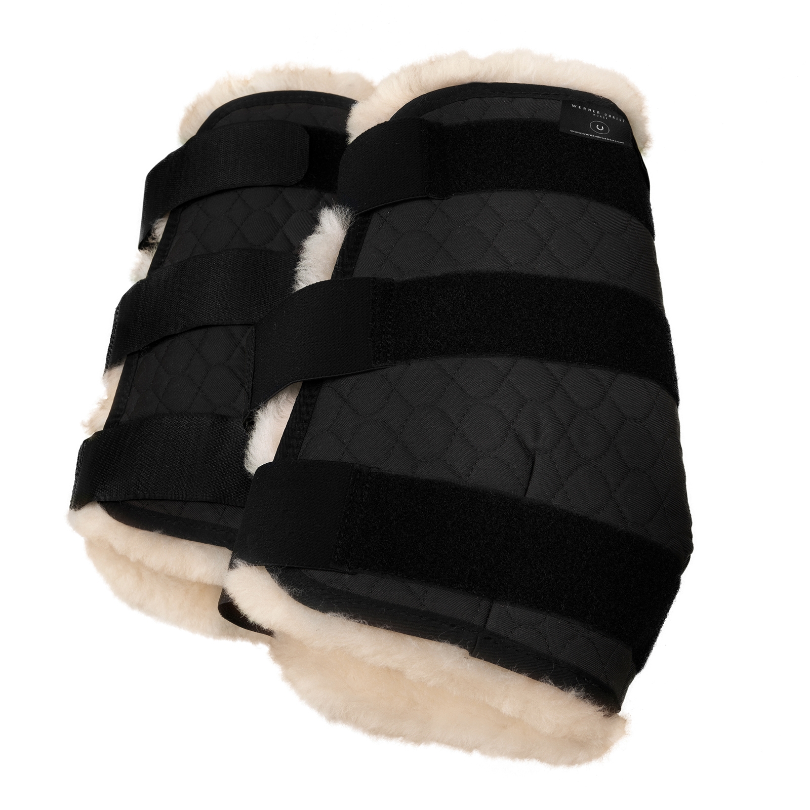 Christ Beenbeschermers, voorbeen