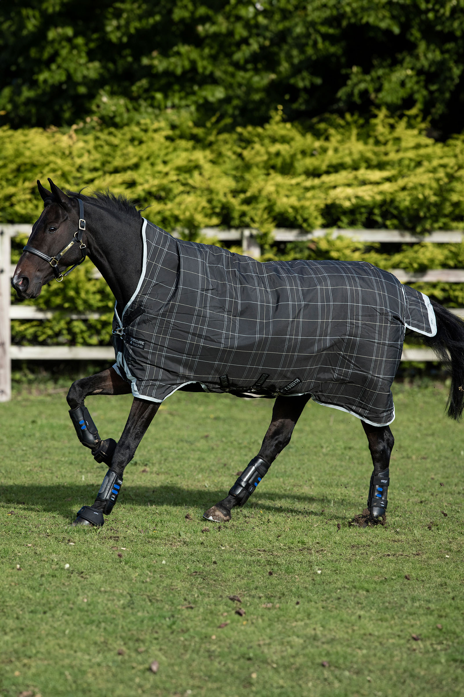 Black/Grey/White Check & Gray Horseware Rhino Wug buitendeken, 100 g