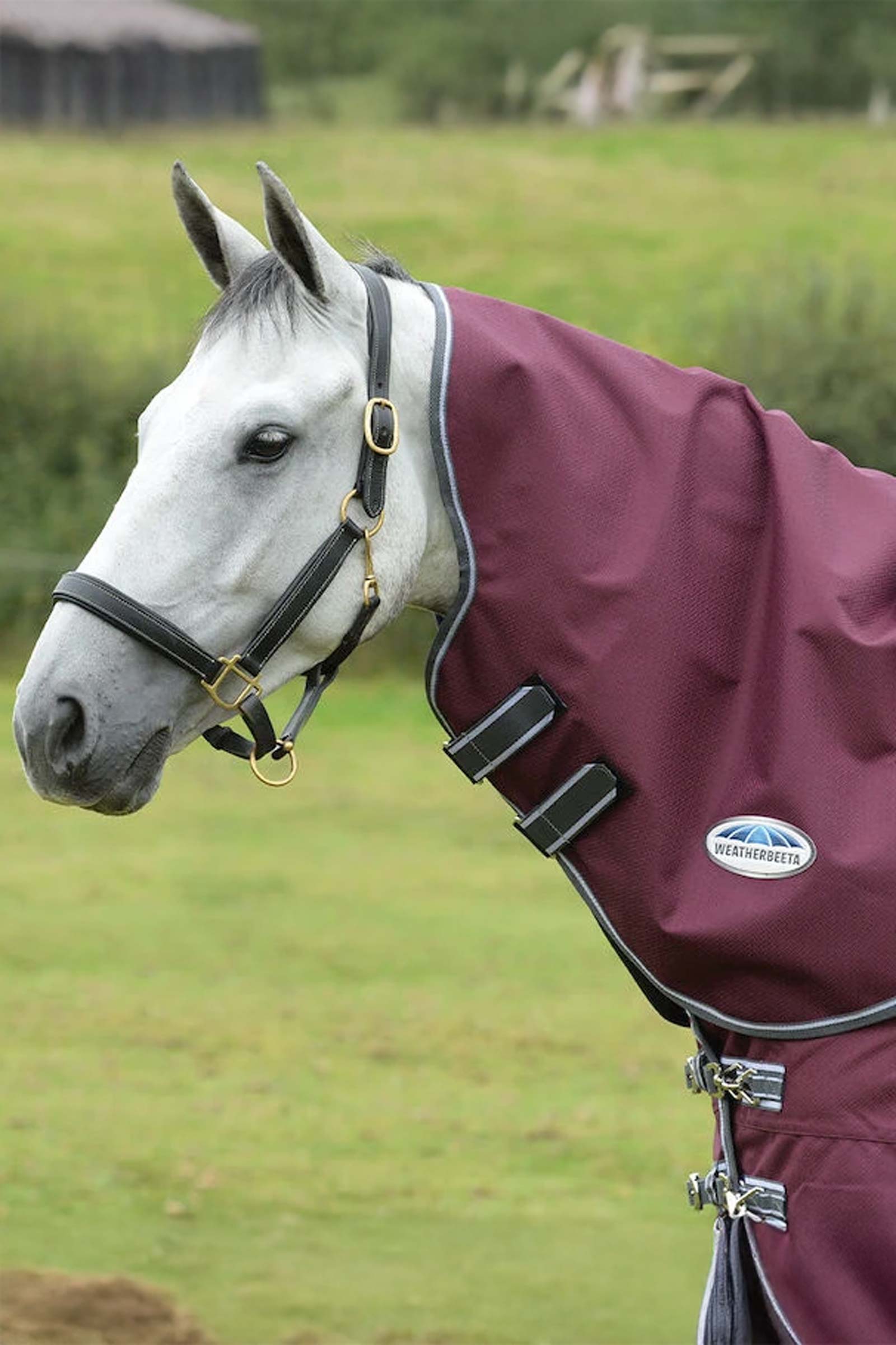 Weatherbeeta Comfitec Plus Dynamic II Nek Lite, 0g