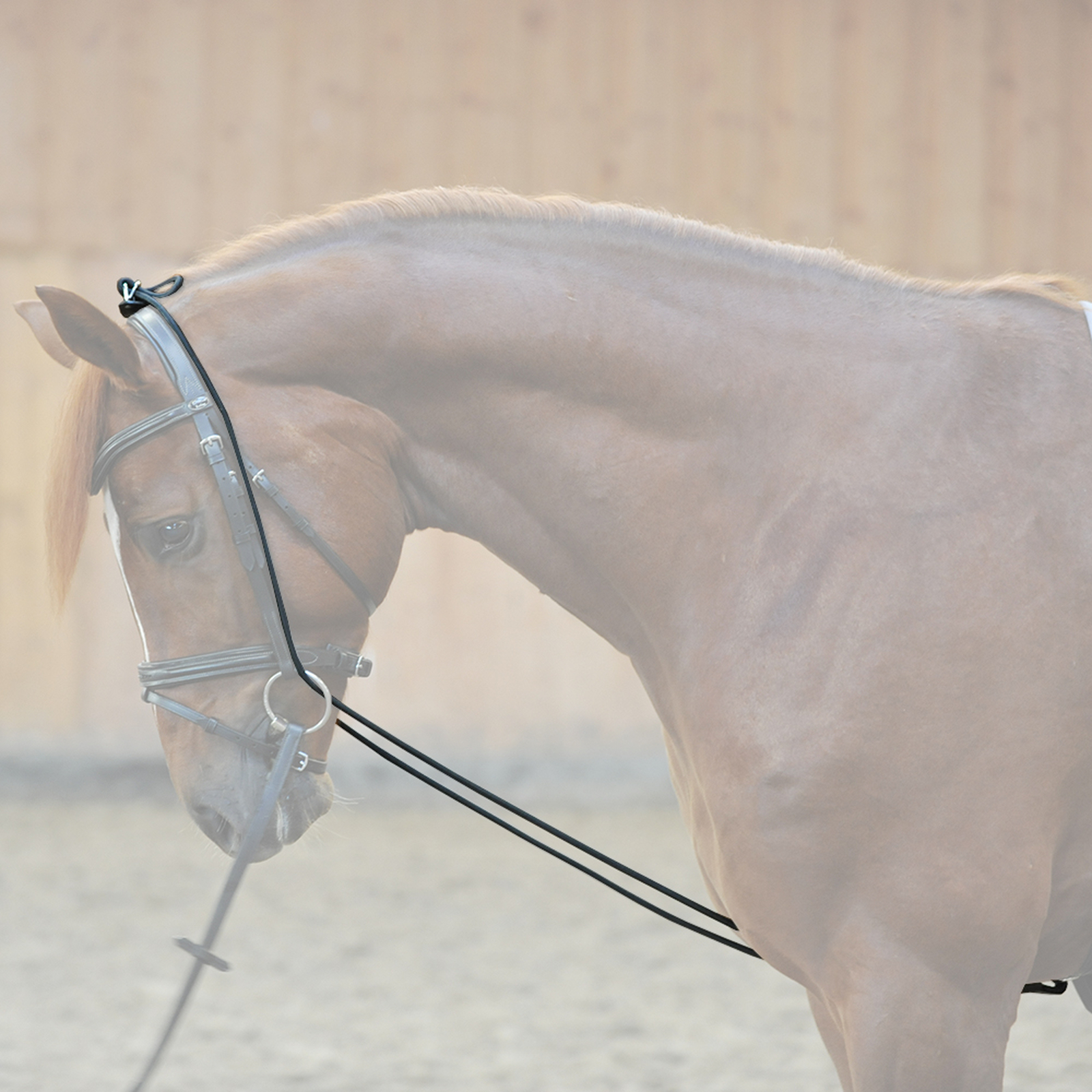 Kavalkade Halsverlenger, elastisch