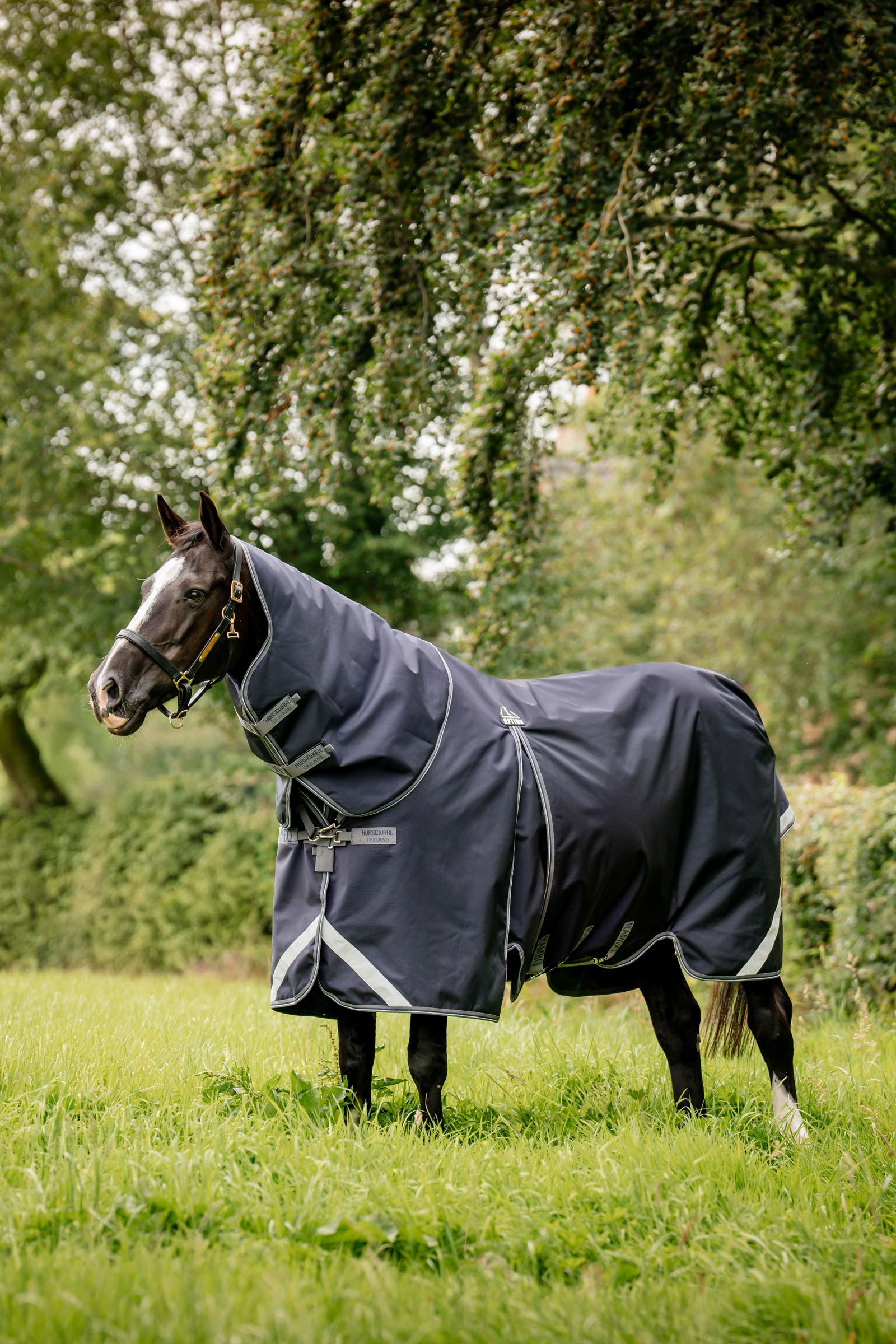 Horseware Rambo Optimo Plus Budle Weidedeken (met 200g Liner)