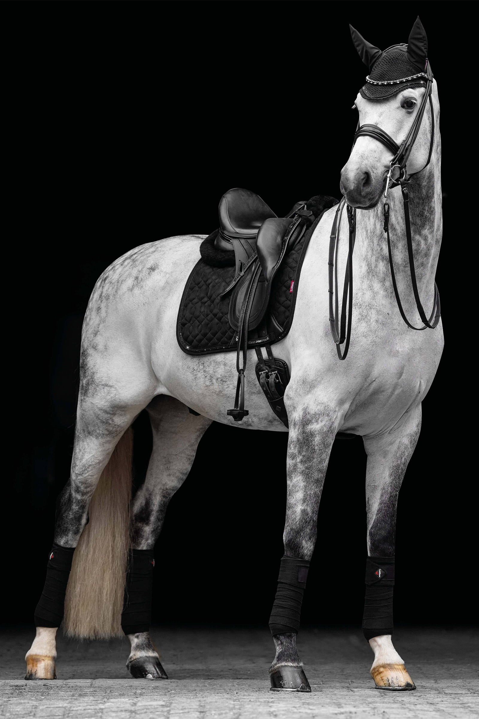 LeMieux Crystal Suede dressuurzadeldek