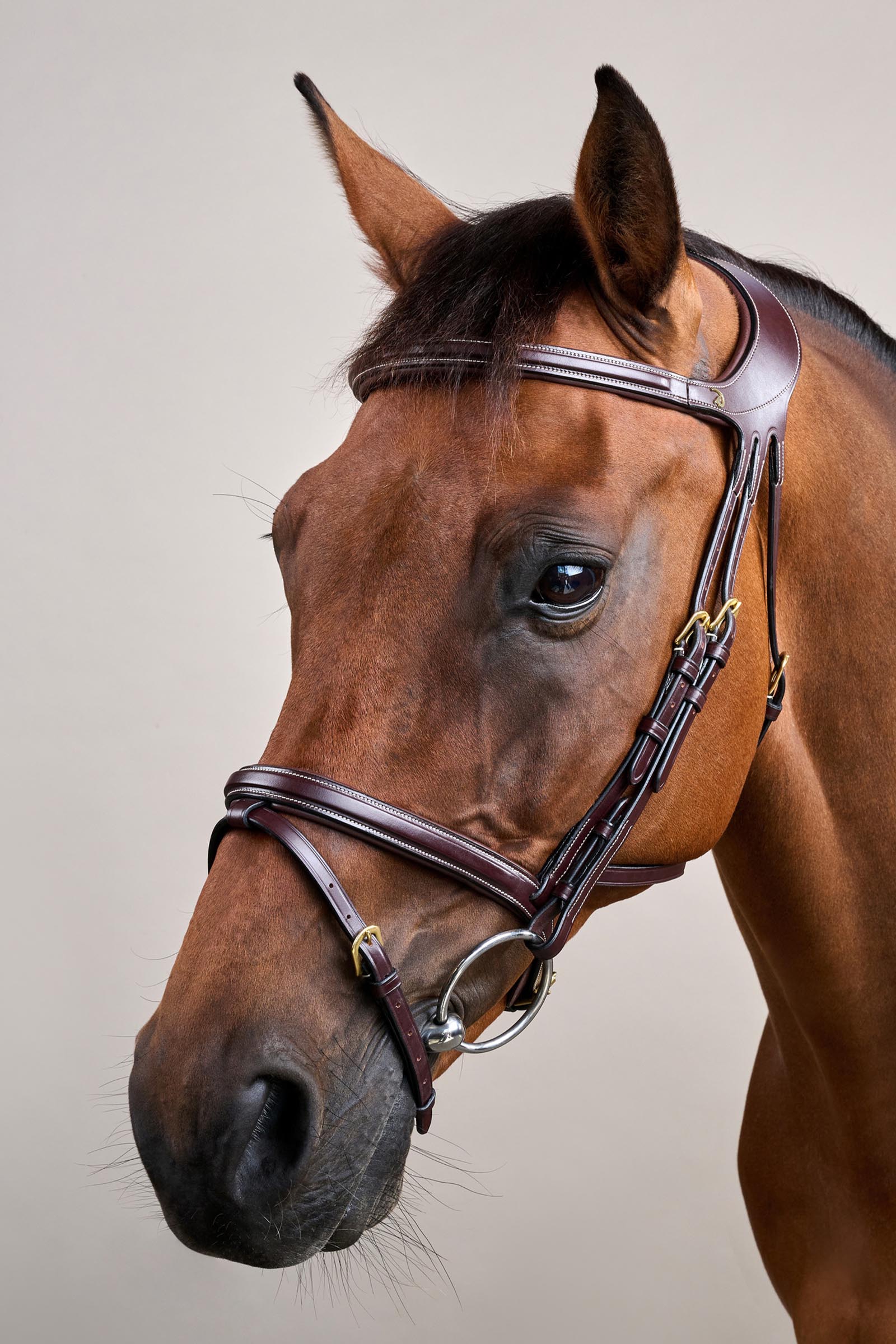 Dy'on D-Collection Difference hoofdstel  