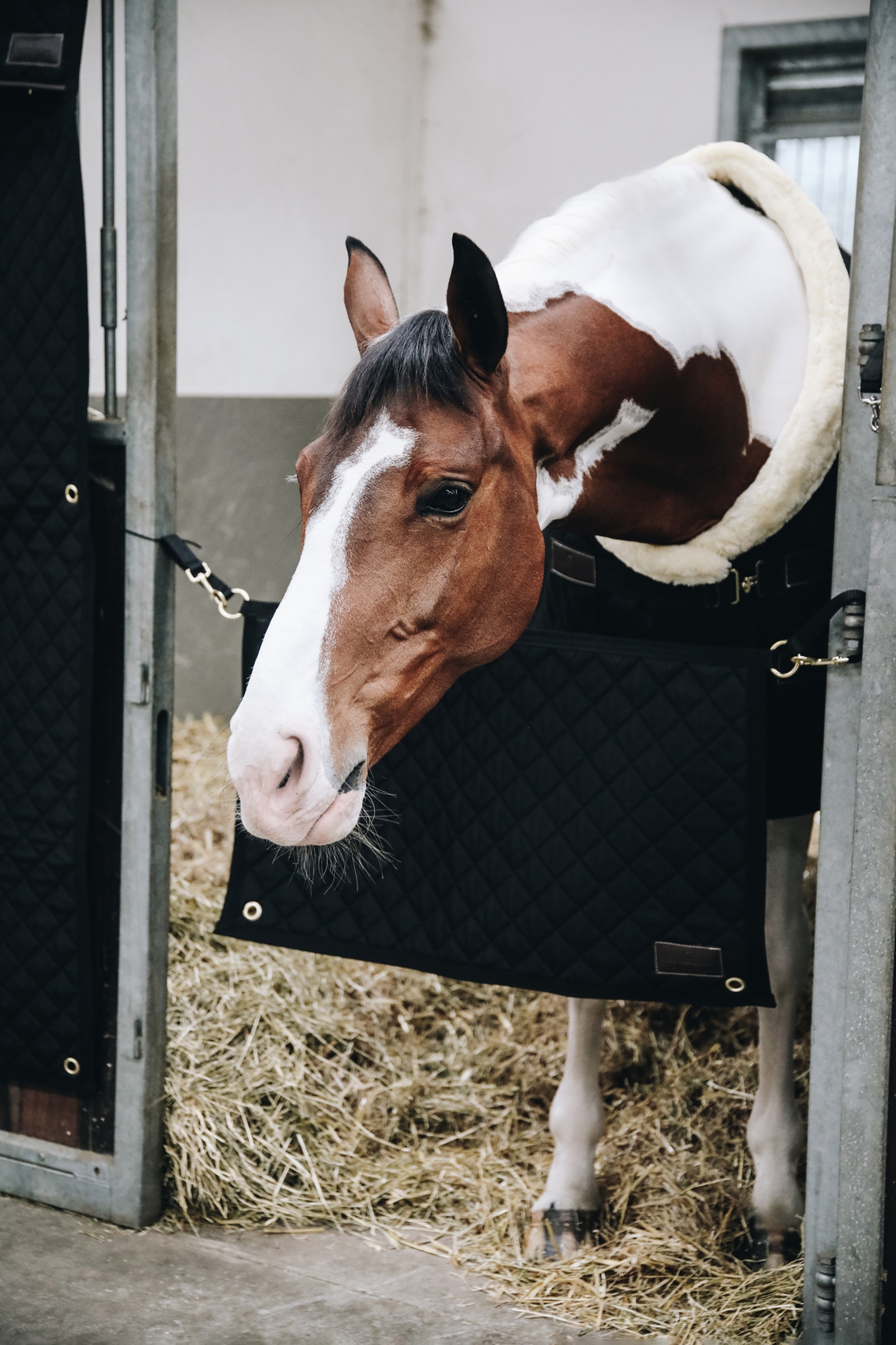 Kentucky Horsewear Stalpoort