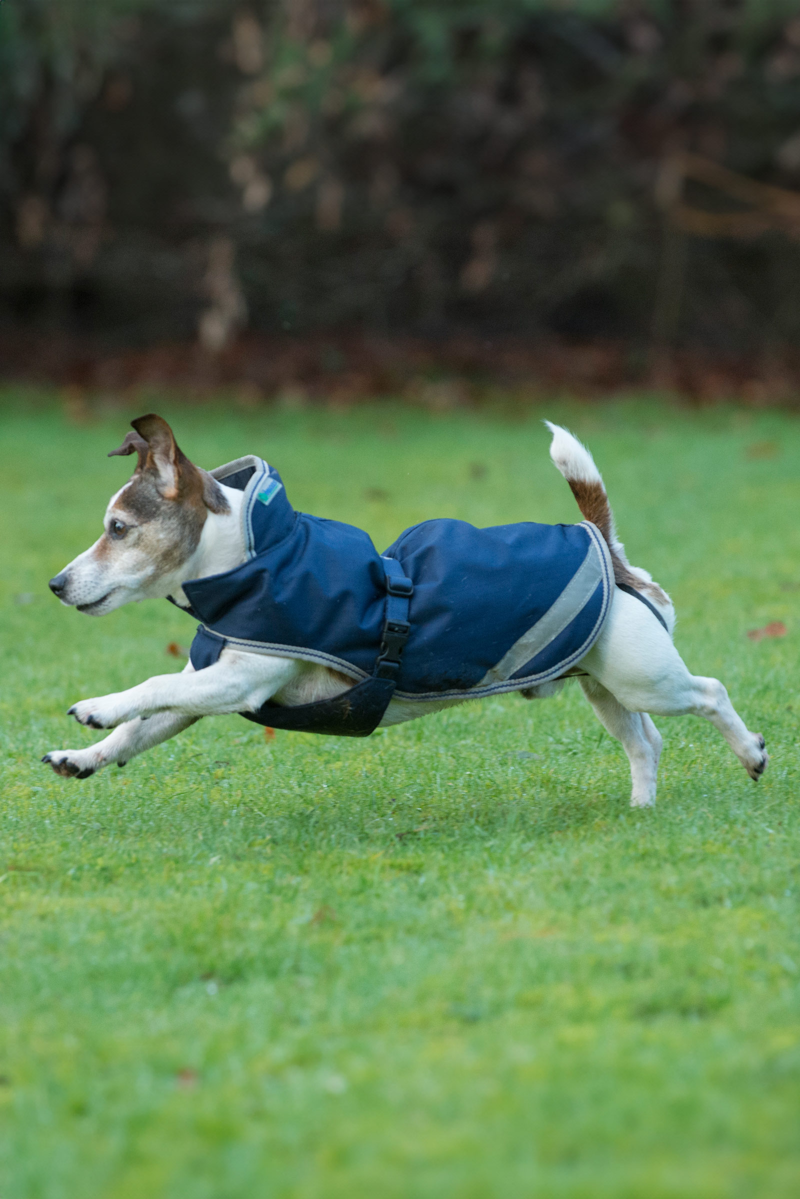 Bucas Freedom Hondendeken, 50g (30-45 cm)