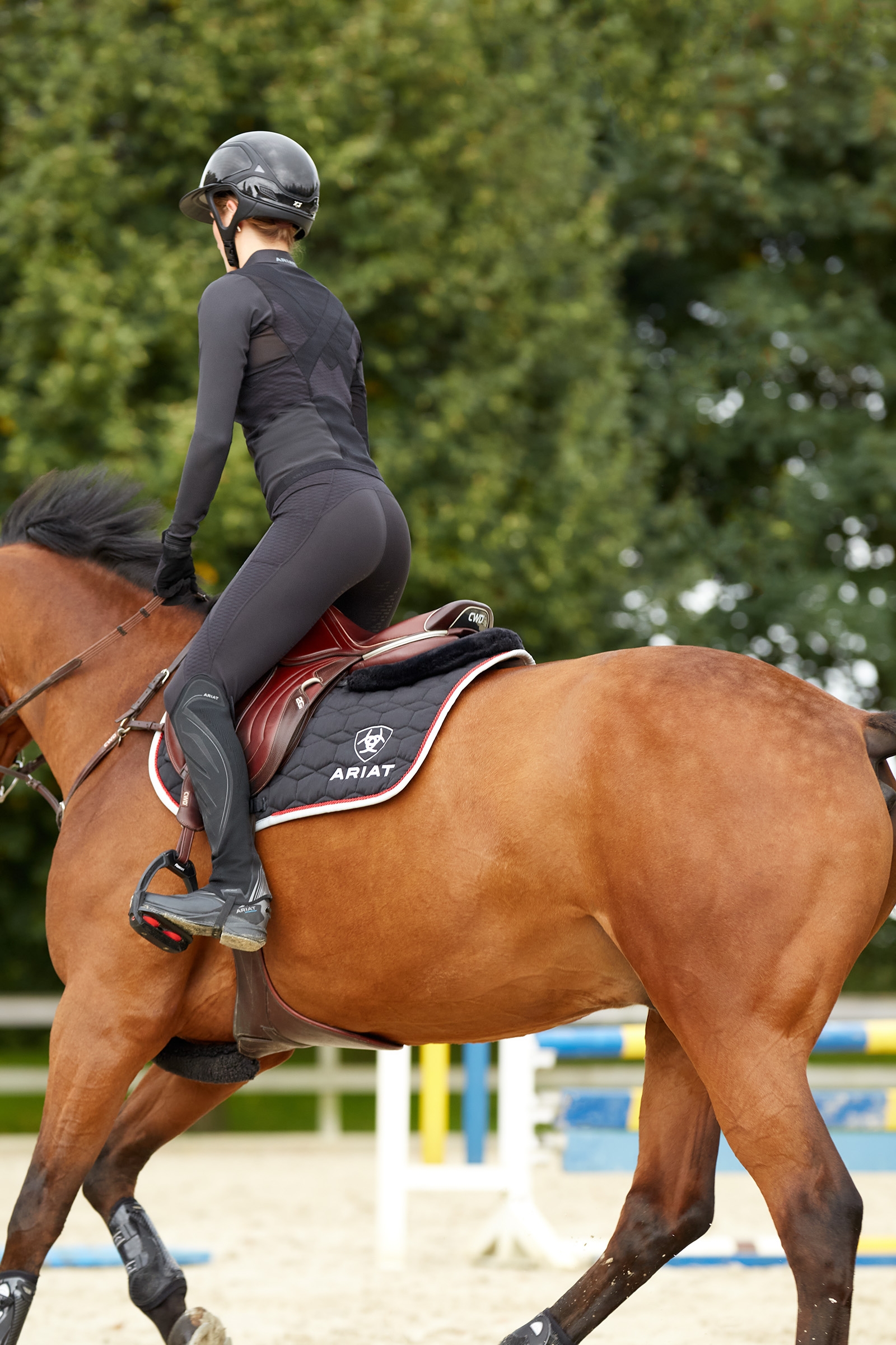 Ariat Ascent dames knievlak rijlegging