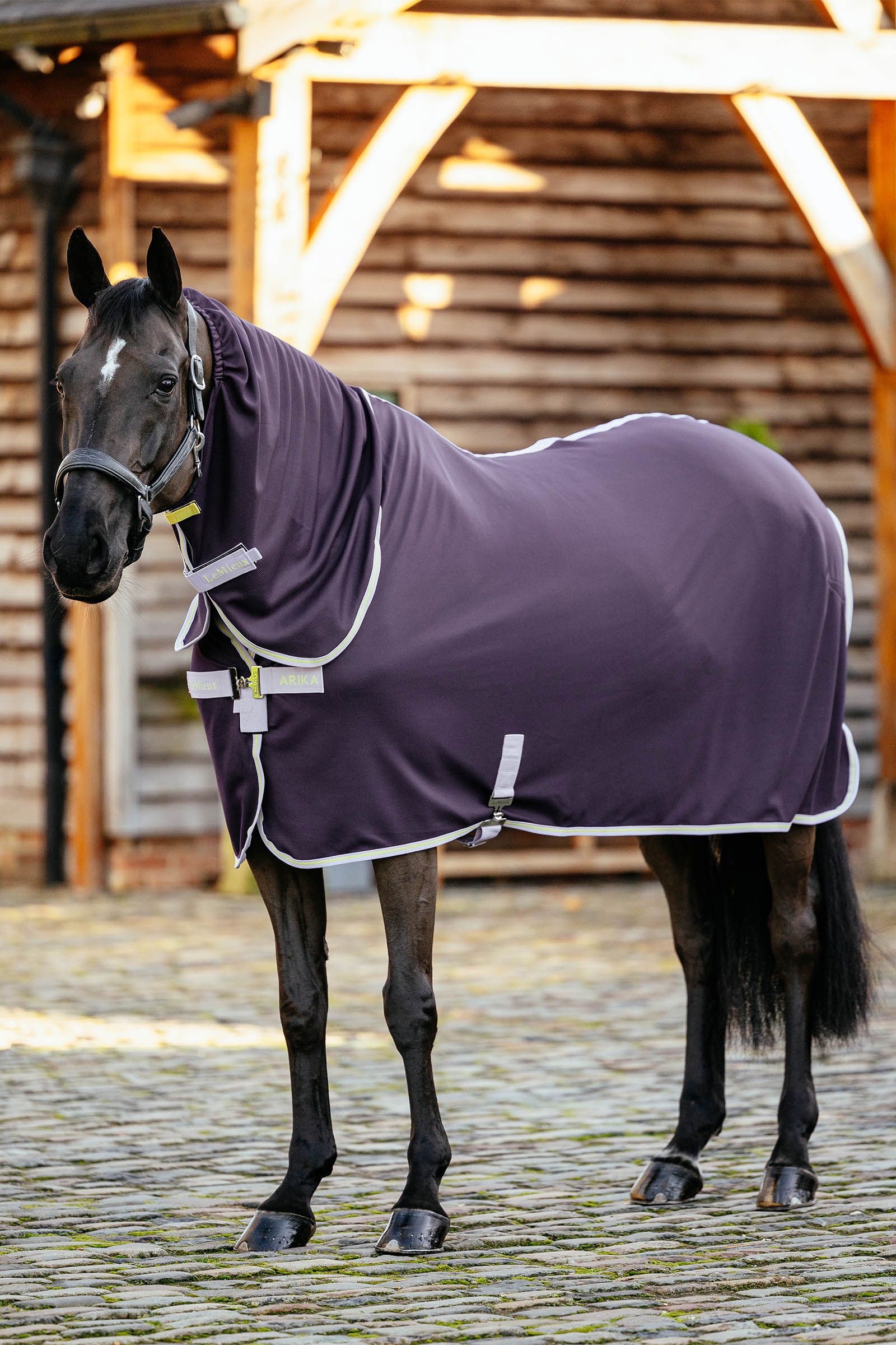 LeMieux Arika DryEase deken