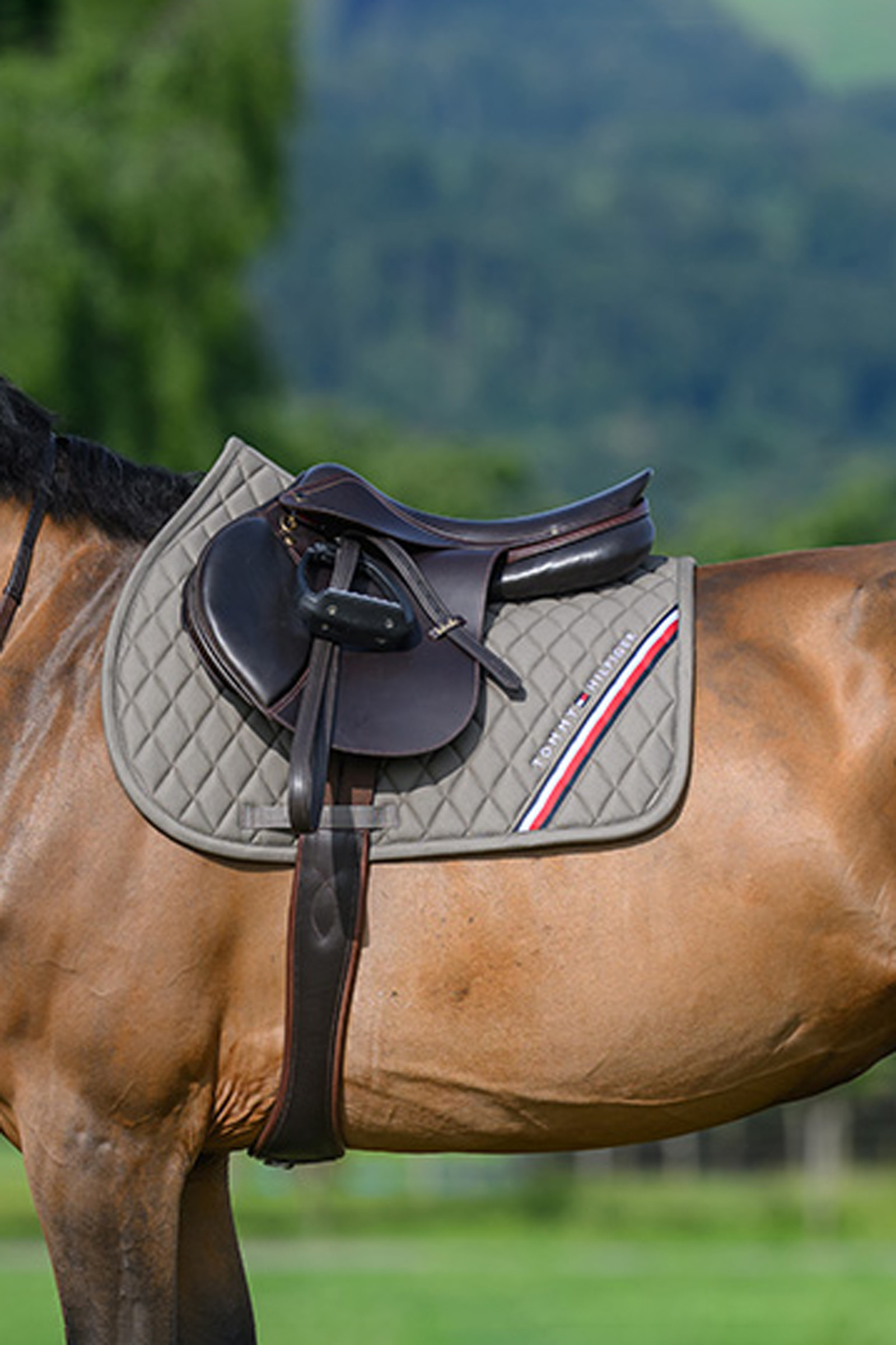 Ash Tommy Hilfiger Equestrian Stanford spring zadeldek