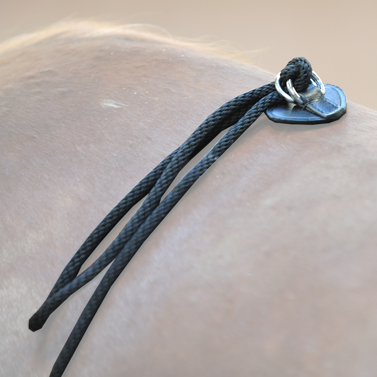 Kavalkade HO longeerhulp