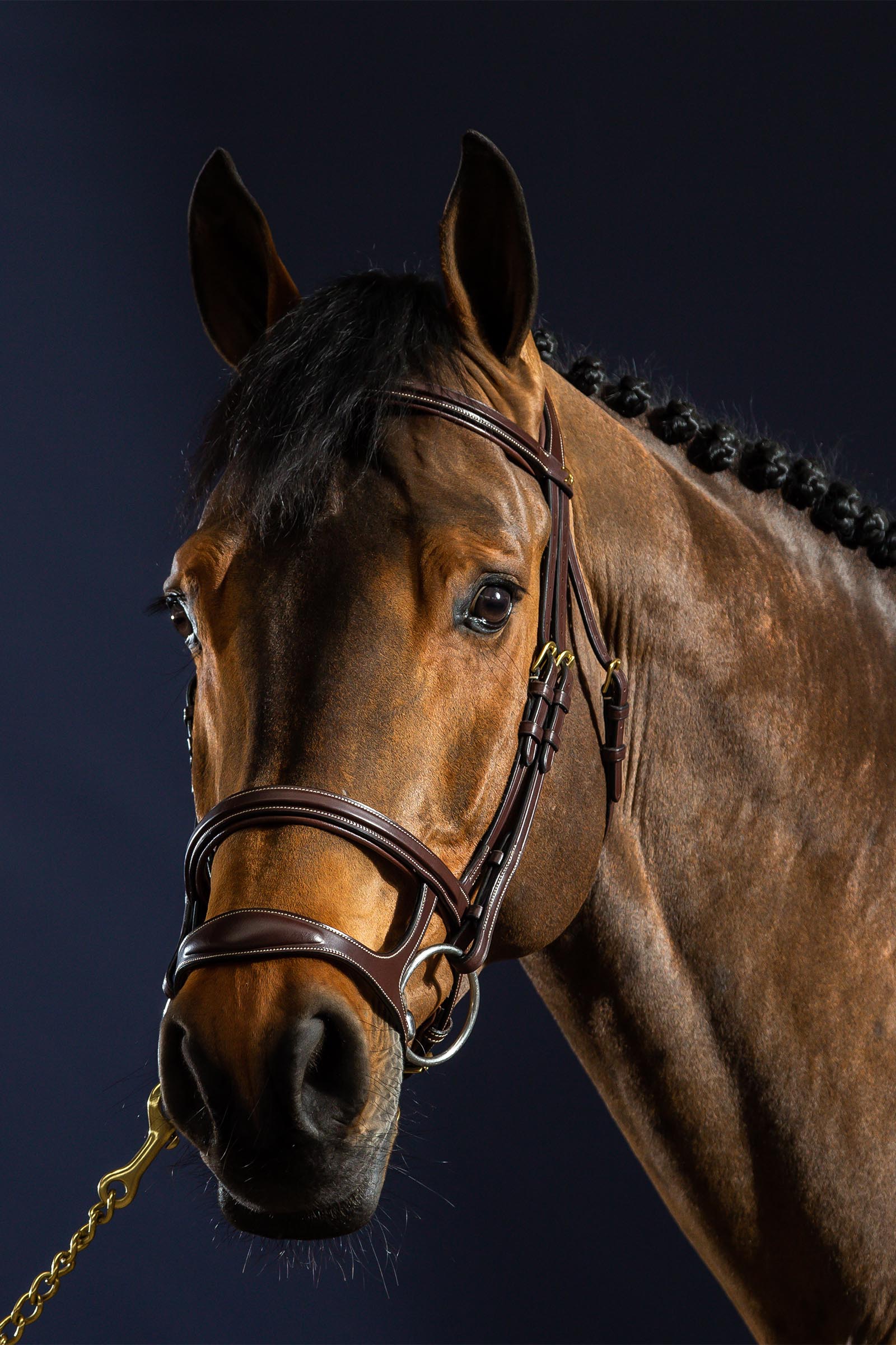 Dy'on D Collection trense med dobbelt næsebånd