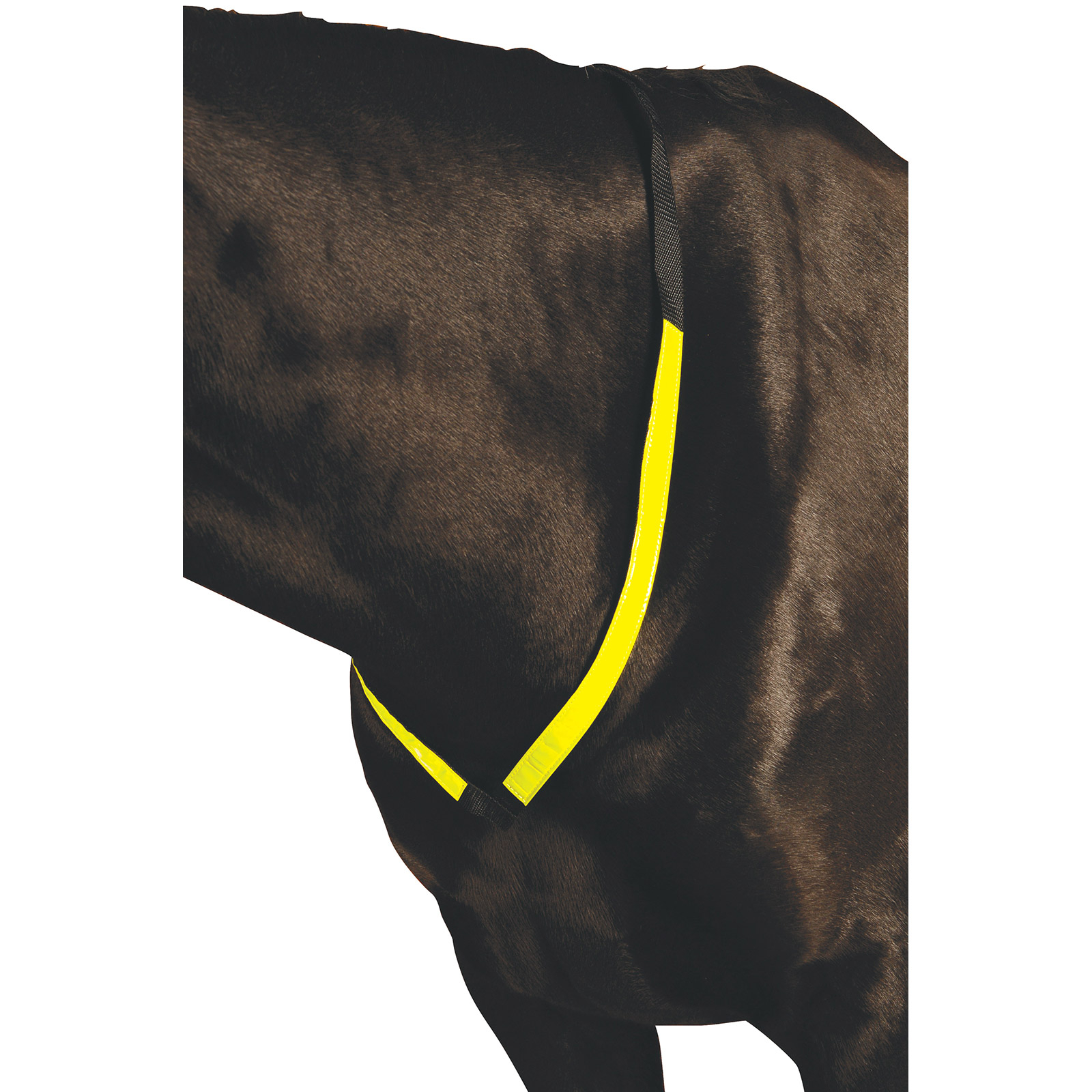 Roma Reflecterend borststuk