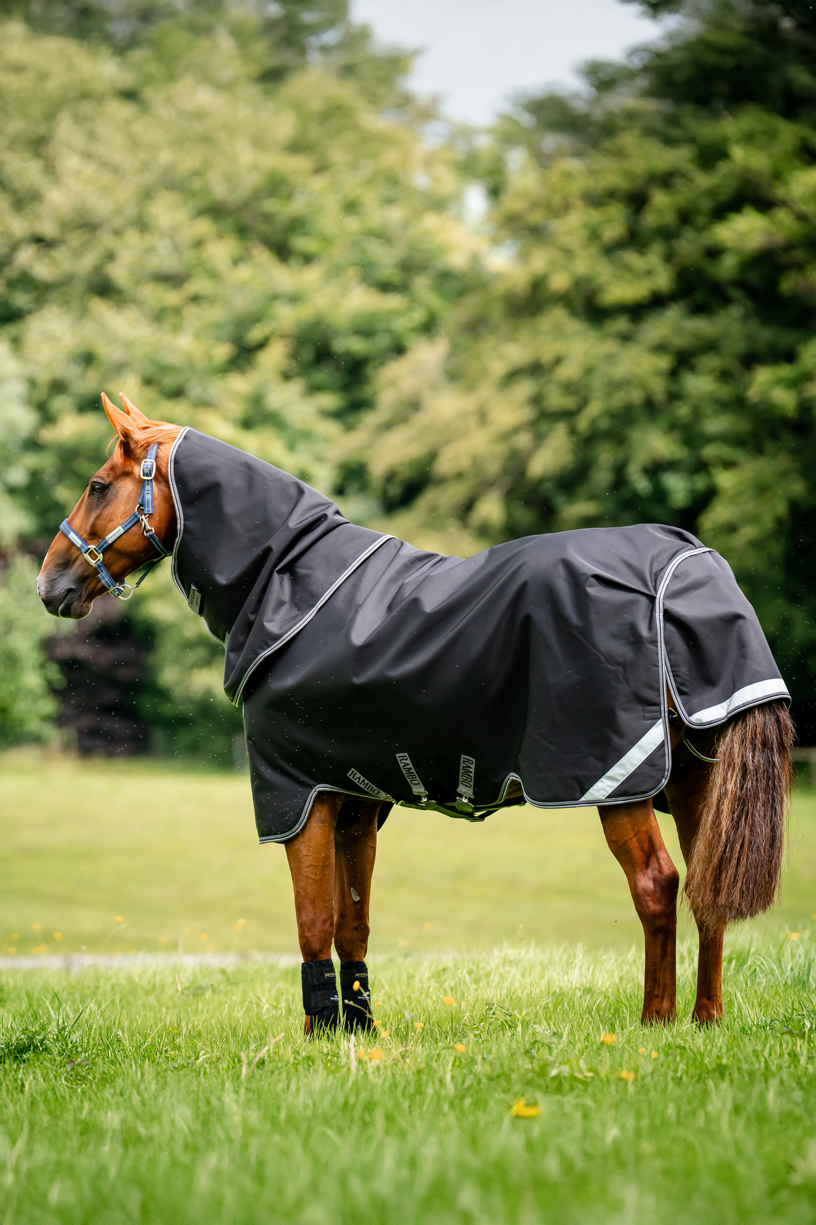 Horseware Rambo 1680D Plus turnoutdeken, 100 g