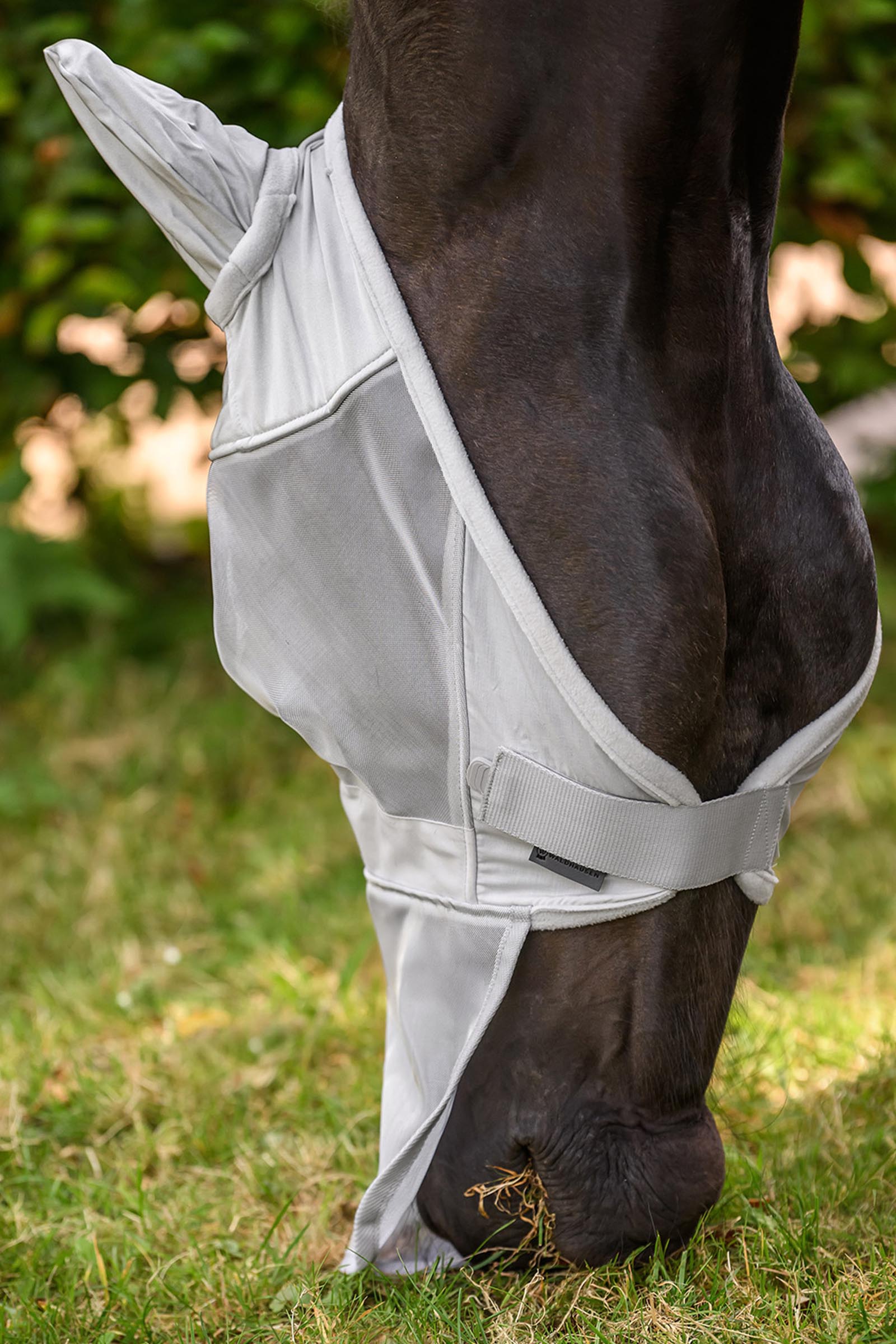 Waldhausen vlieghoofdstel met oren- en neusverlenging, UV-bescherming