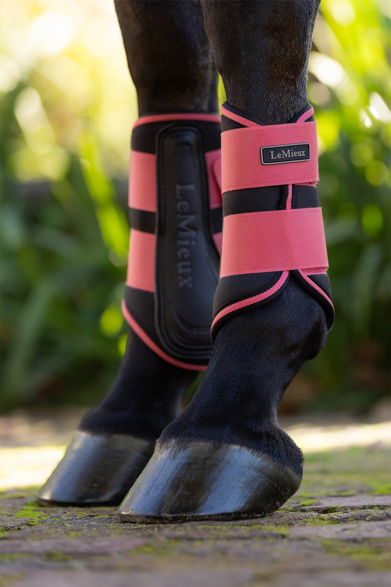 LeMieux Grafter peesbeschermers