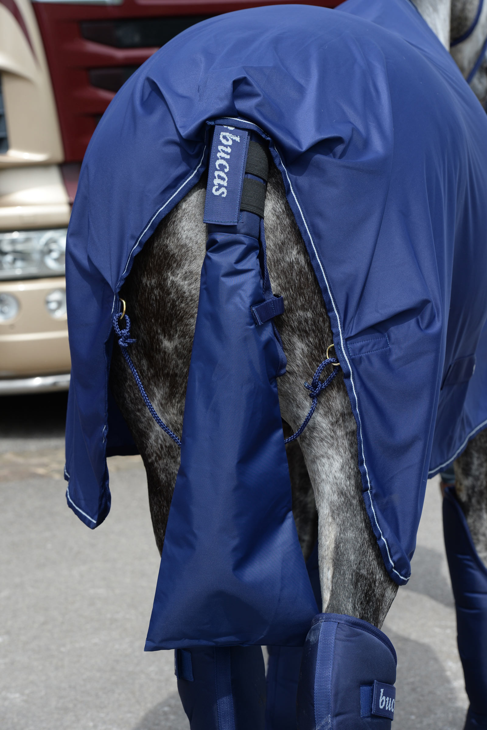 Bucas Staartbeschermer & Staartzak