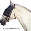 F.R.A. Freedom Riding Articles Cavallo vliegenmasker