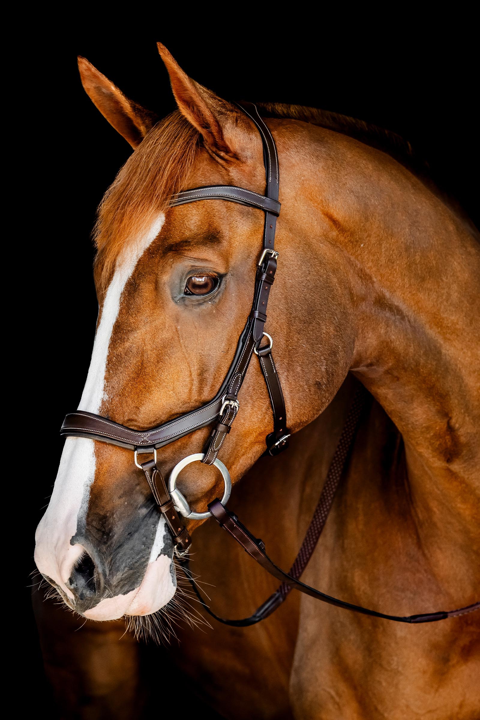 Horseware Rambo Micklem Wedstrijd Hoofdstel