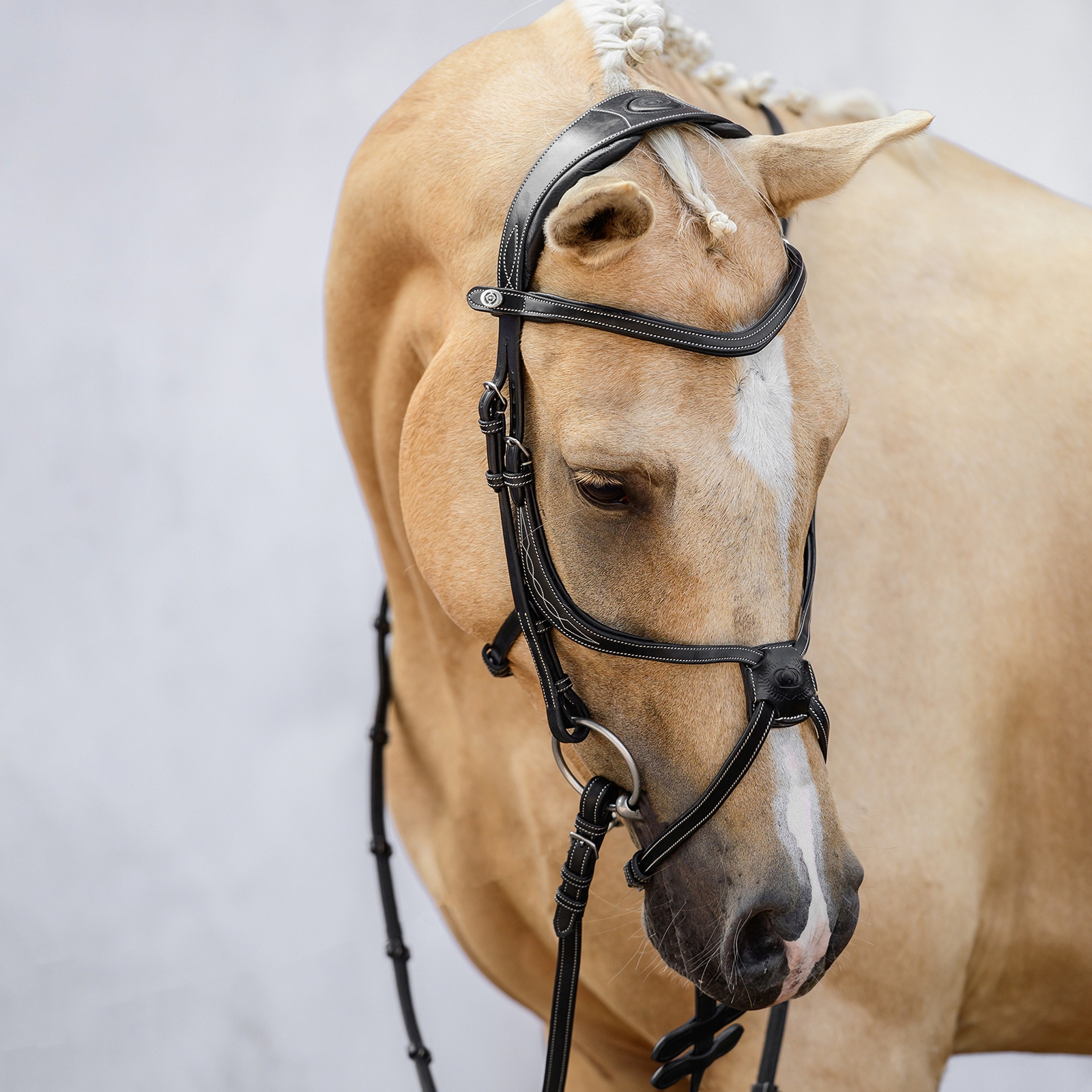 PS of Sweden Athens Mexicaans Hoofdstel