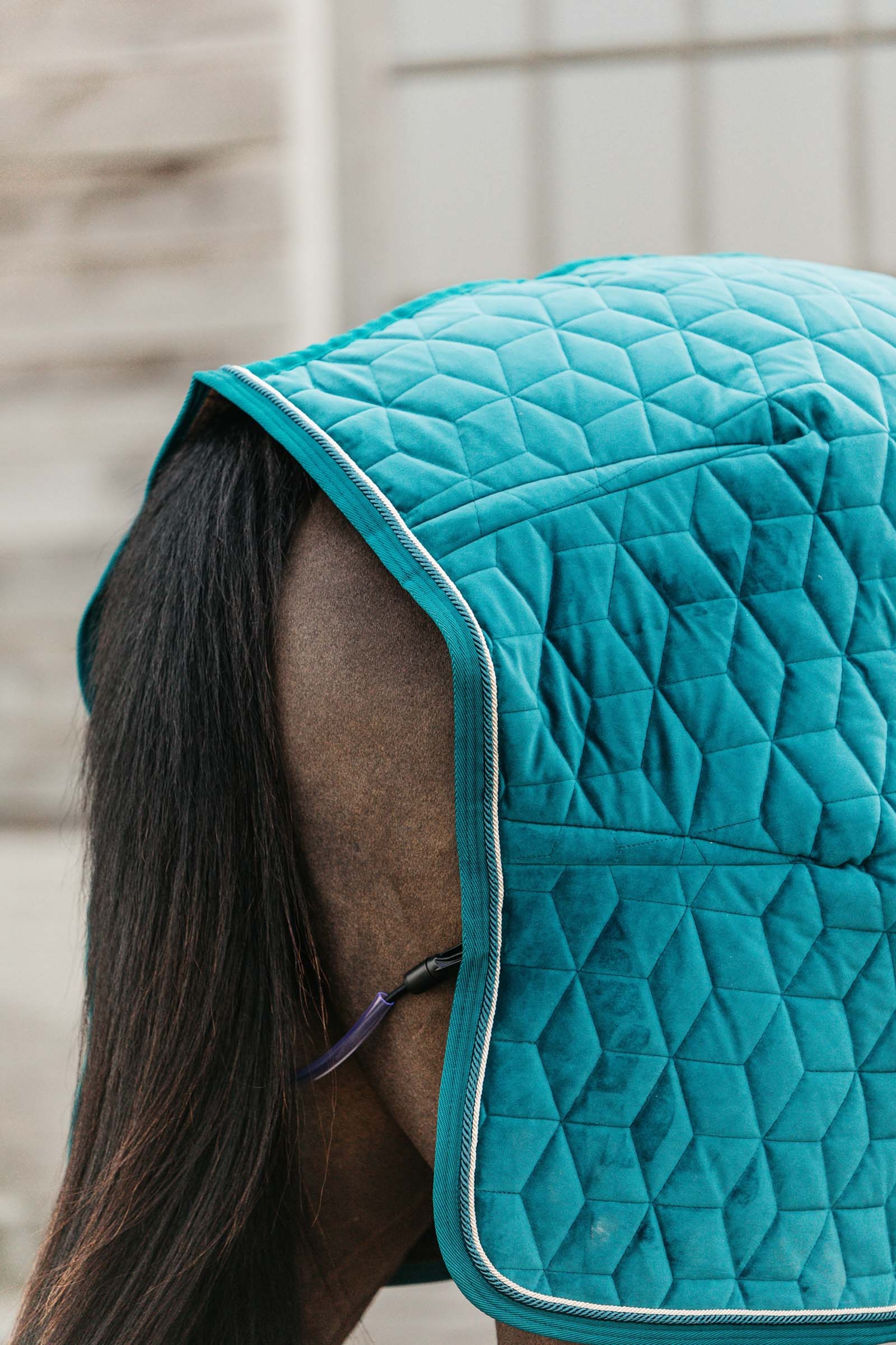 Kentucky Horsewear Showdeken Velvet, 160g