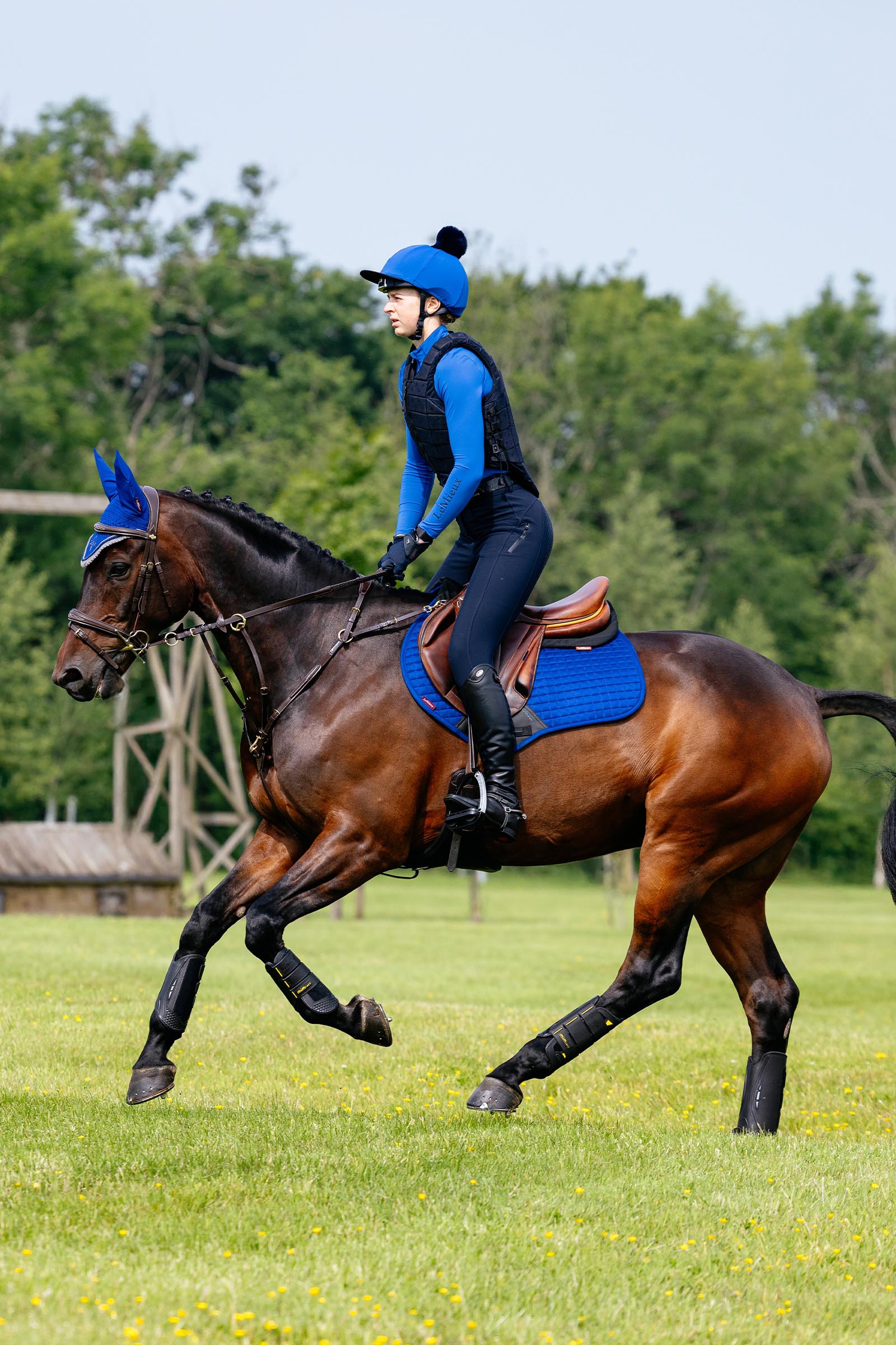 LeMieux Suede Close Contact springschabrak